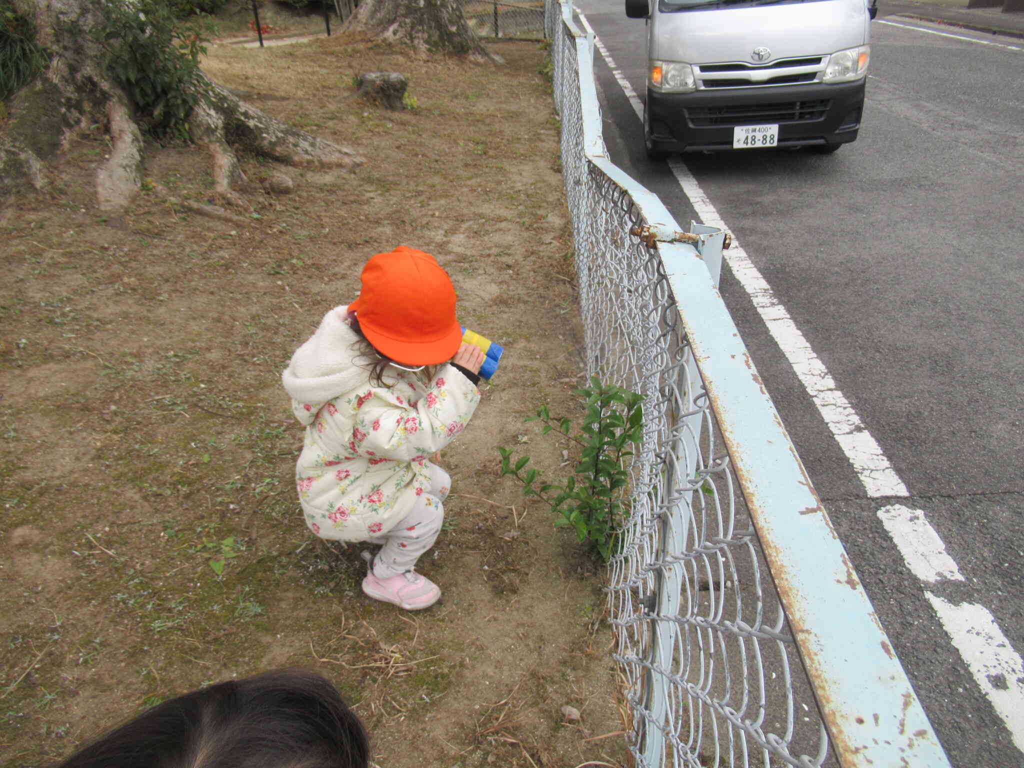 今日は…自然遊び