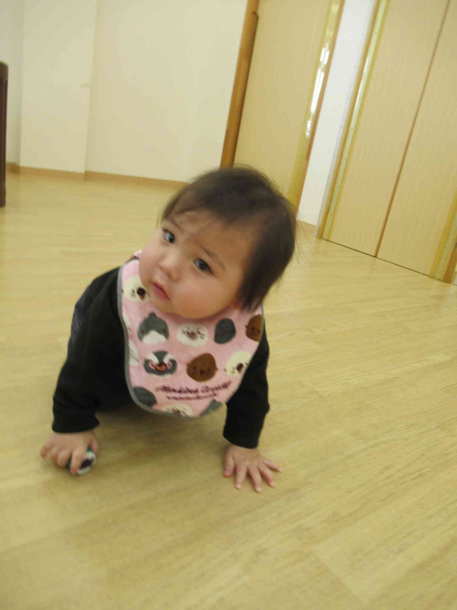 しっかりハイハイできてます☆