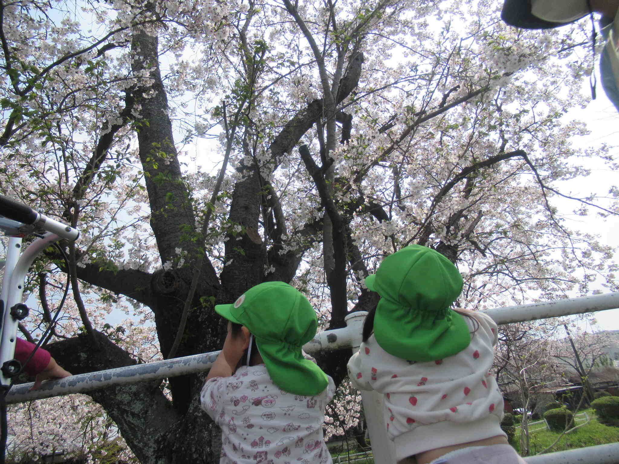 わああ‼っと歓声☆