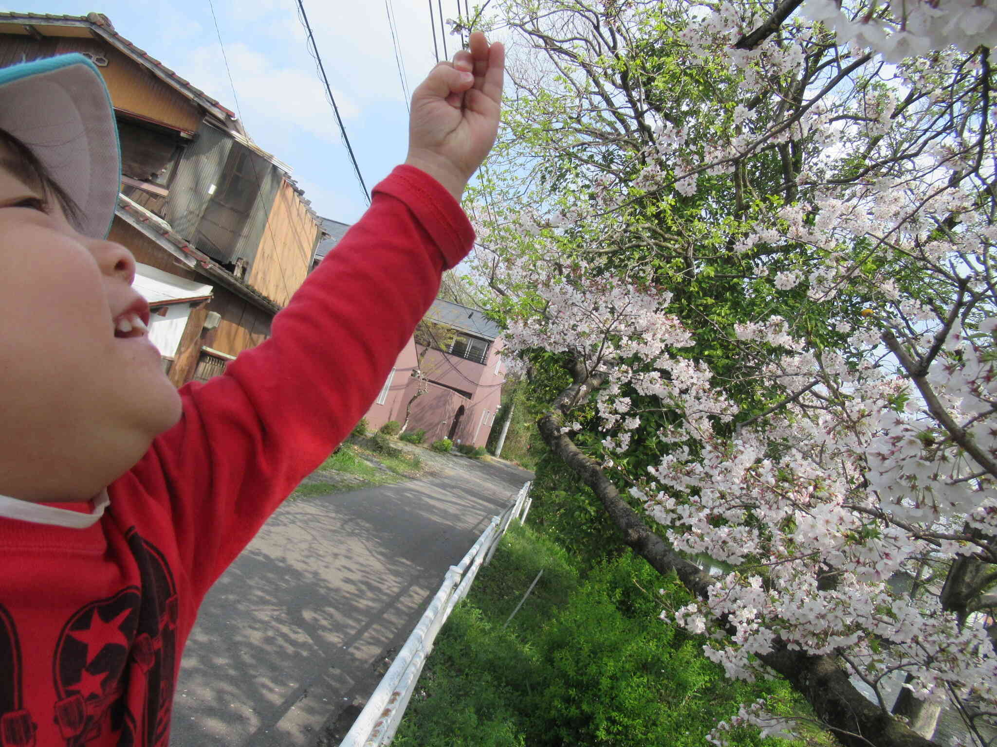 花びらをキャッチ‼