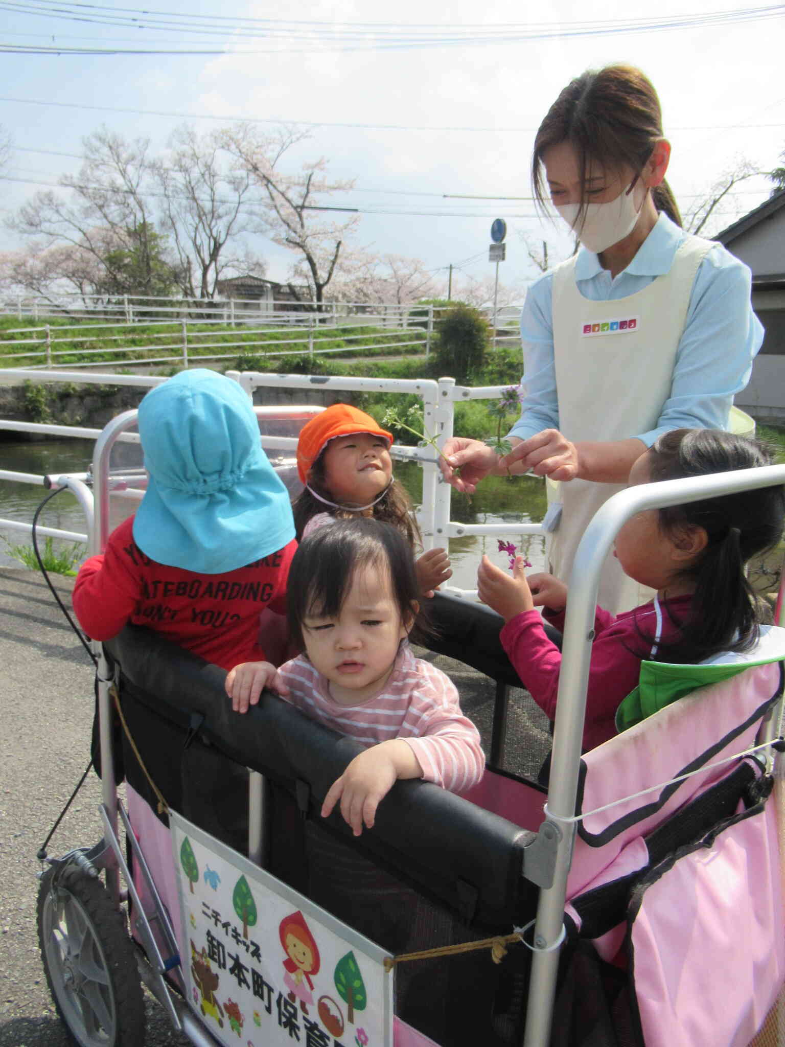 ピンクカートデビューの彼女。真剣なまなざし(笑)