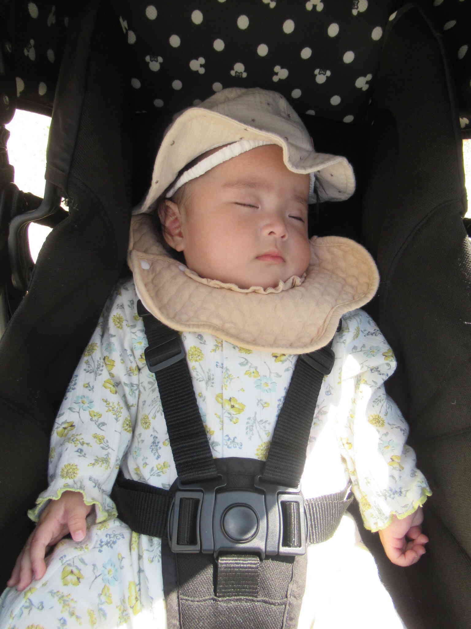 すやすやｚｚｚ