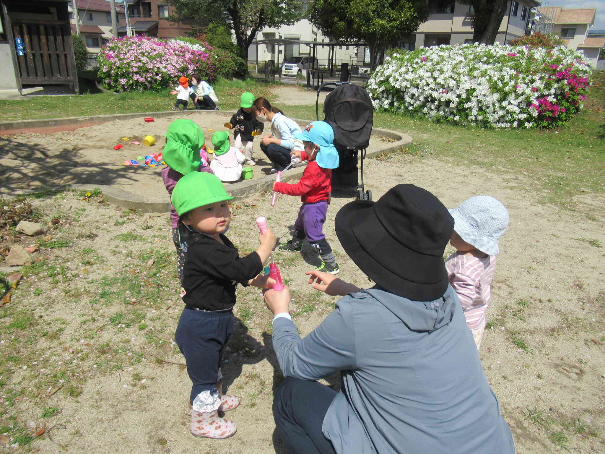 桜の次はつつじ。