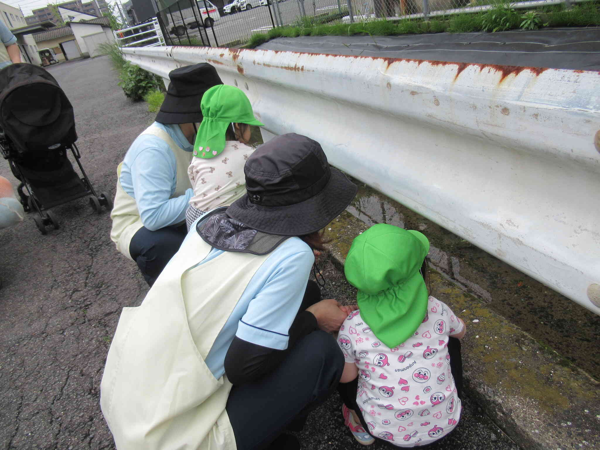 何が見えるかな？