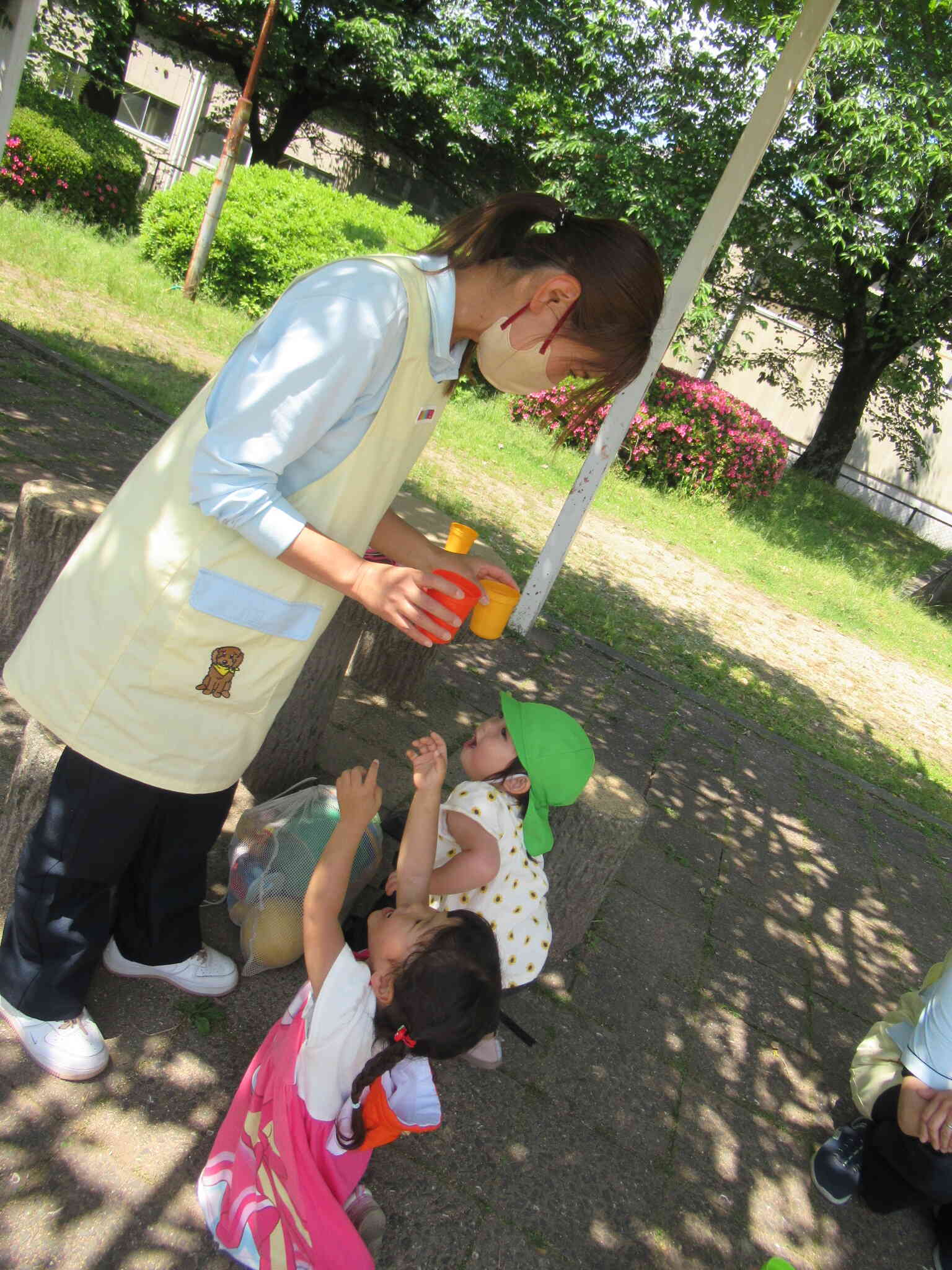 木陰でお茶time