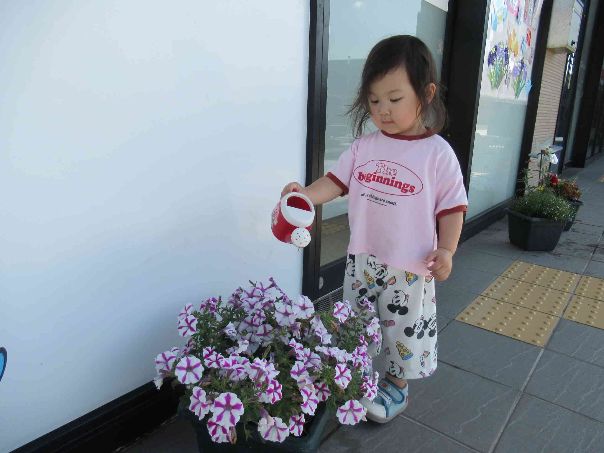 きれいに咲いててね。