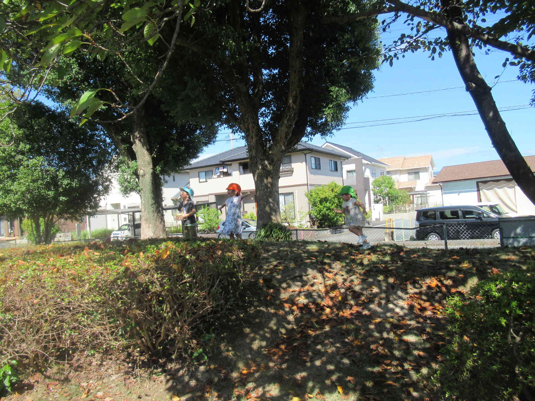 広々公園。