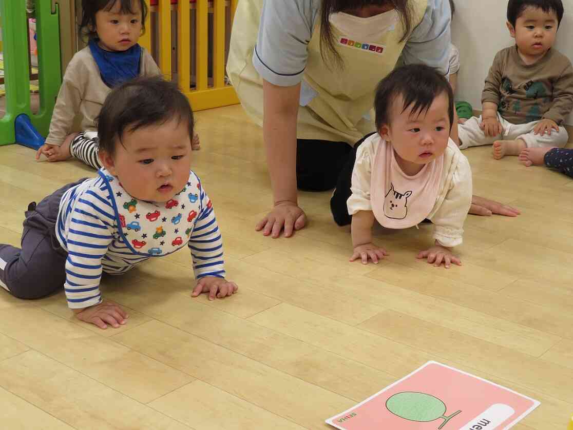 ひよこ組のお友達も真剣です