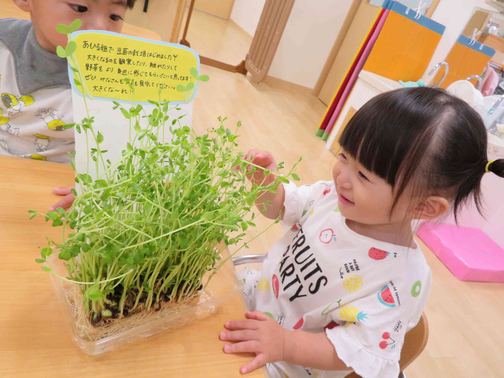 わぁ！これ食べるもの？
