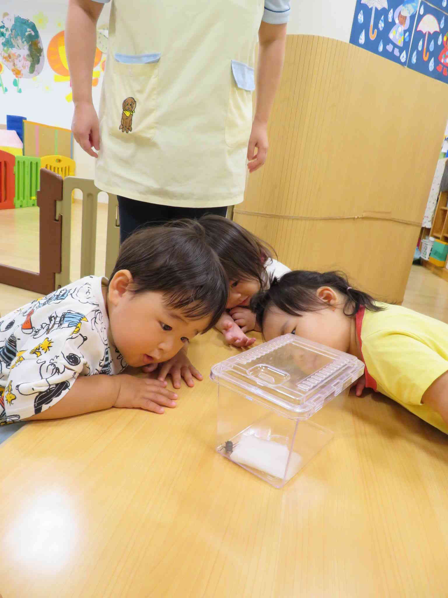 見て触って、色々なものを観察してみました！