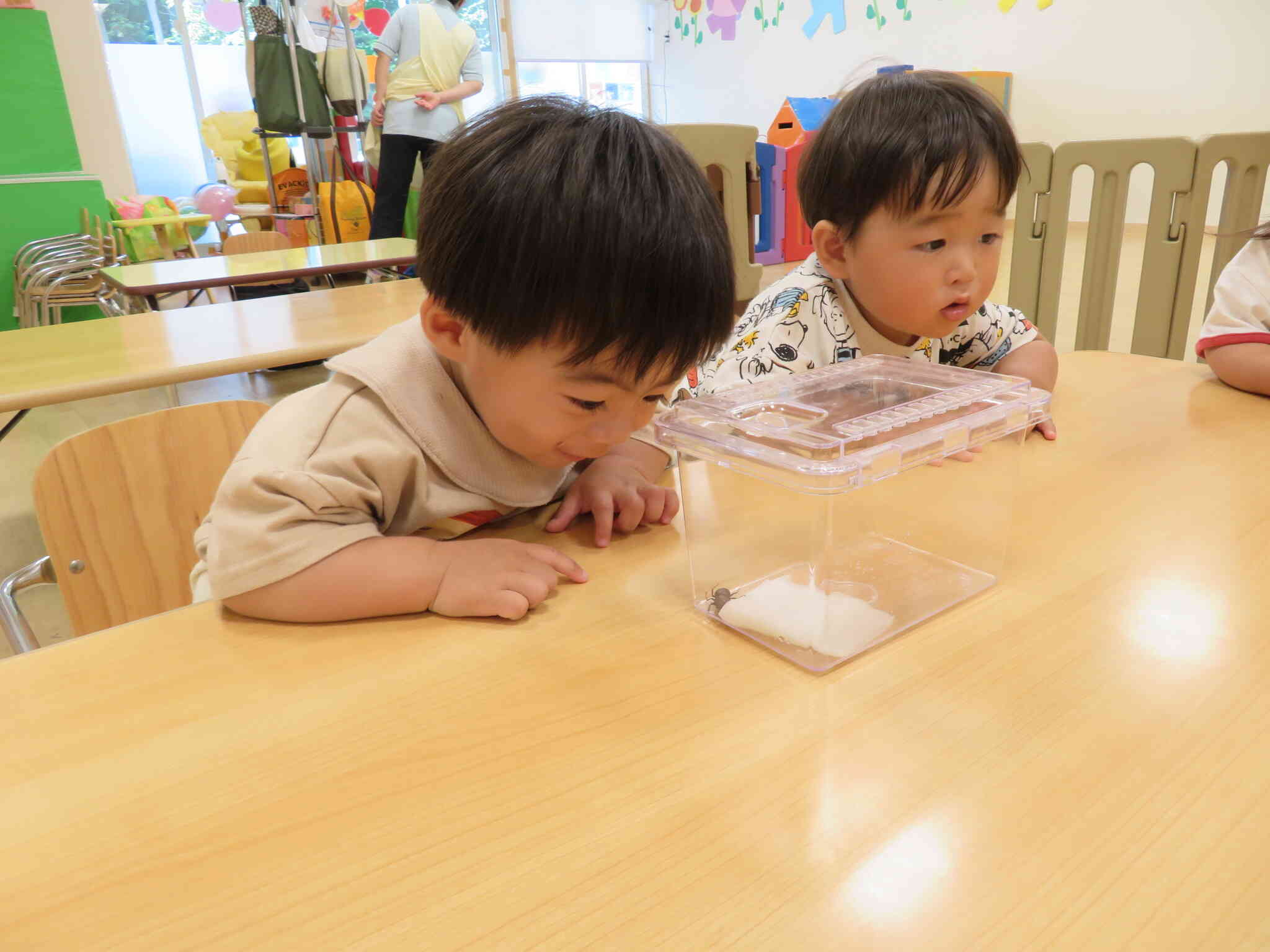 クワガタ、かっこいいなぁ