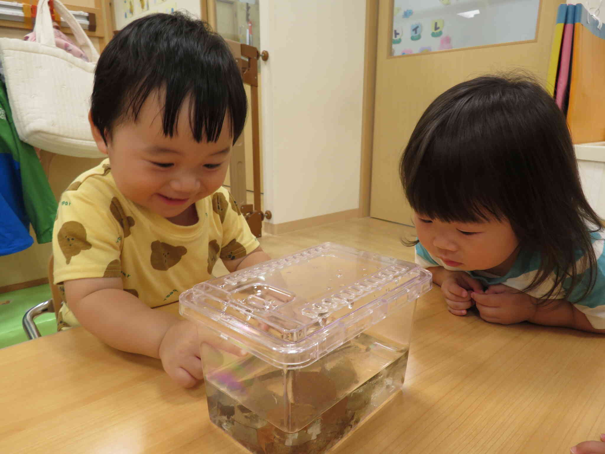カエルになったら驚くだろうな・・・