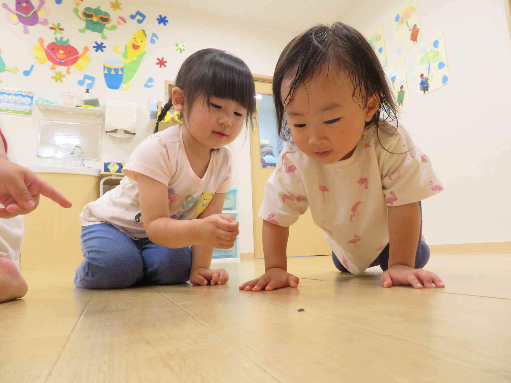 「うごいてる？」「うごいてる！どこいくんだ？」おっかなびっくり、ワラジムシを追跡中です★