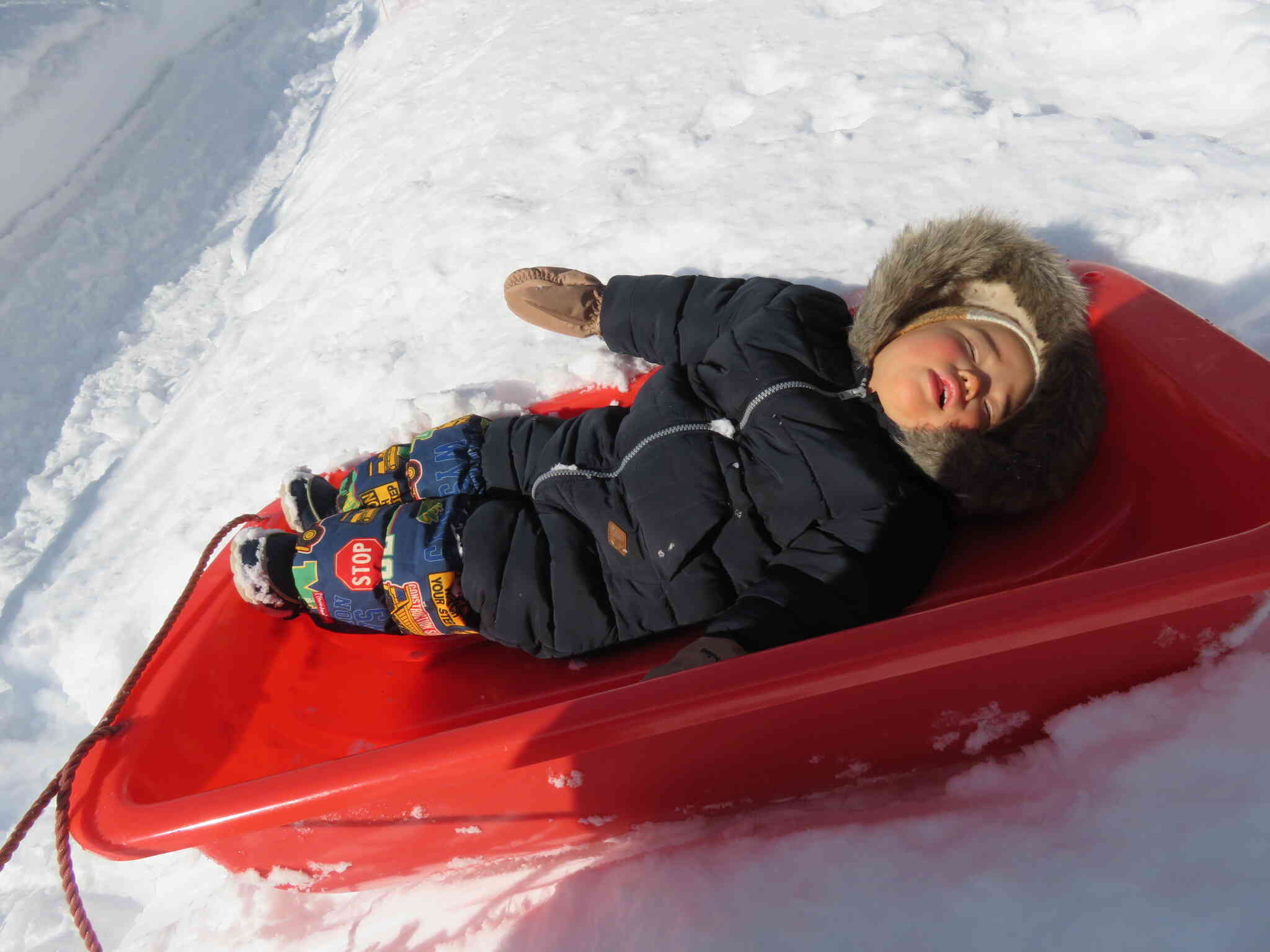 寝てませんよ・・・休んでるだけです・・・
