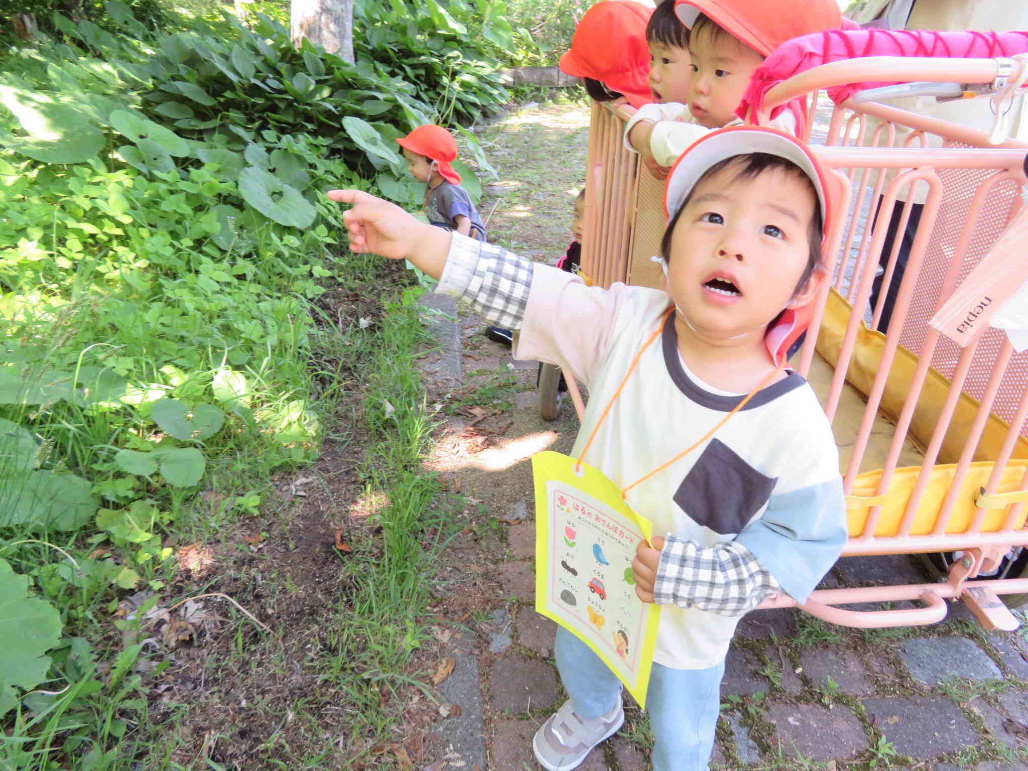 春の観察員✿