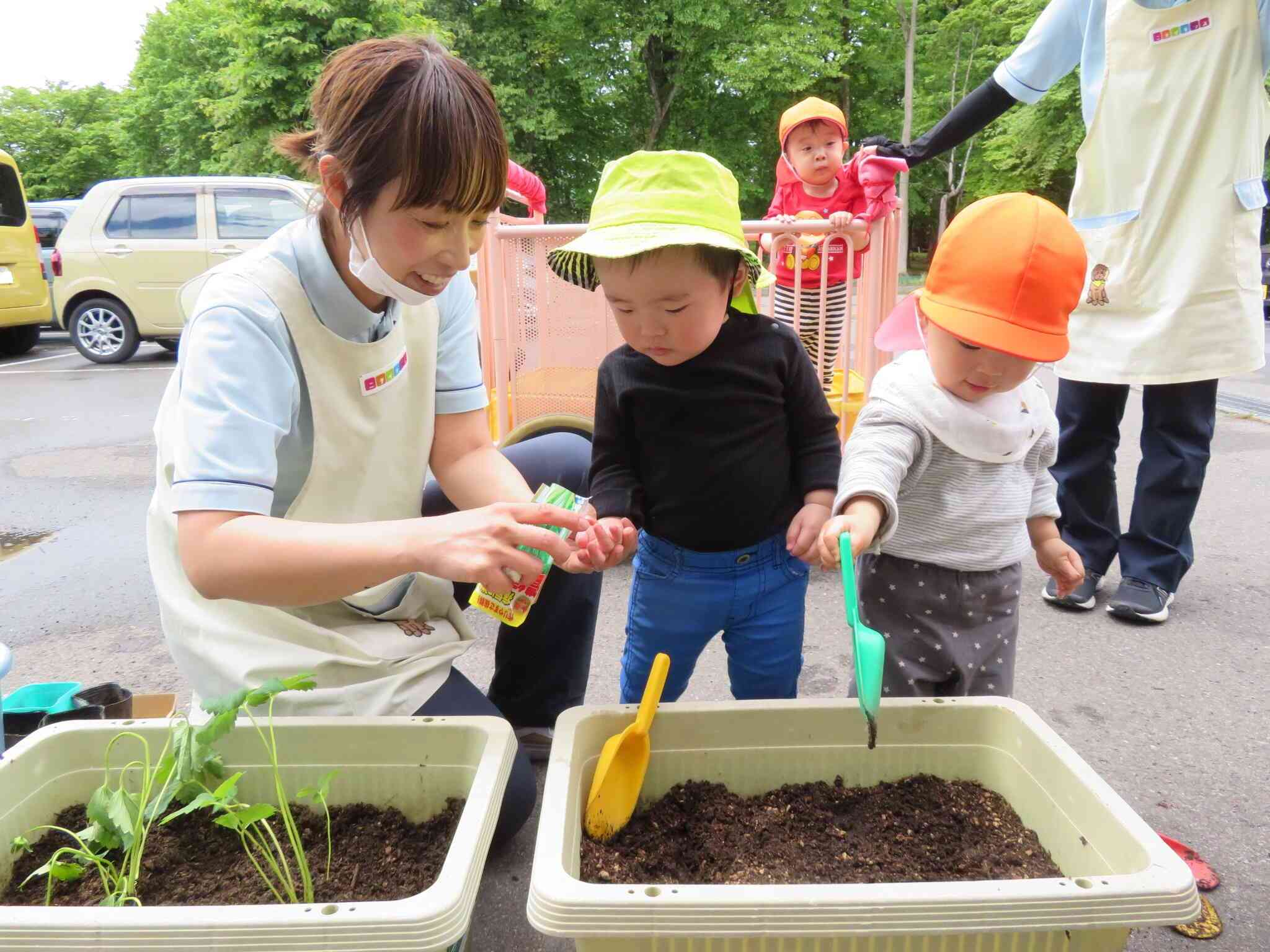 たねまき、難しいぞ！