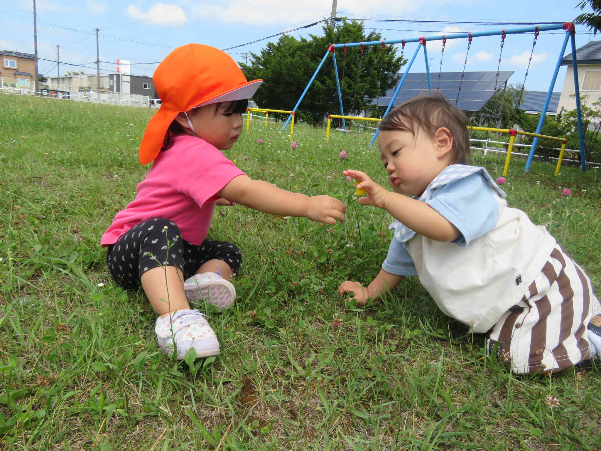 夏がやってきた！