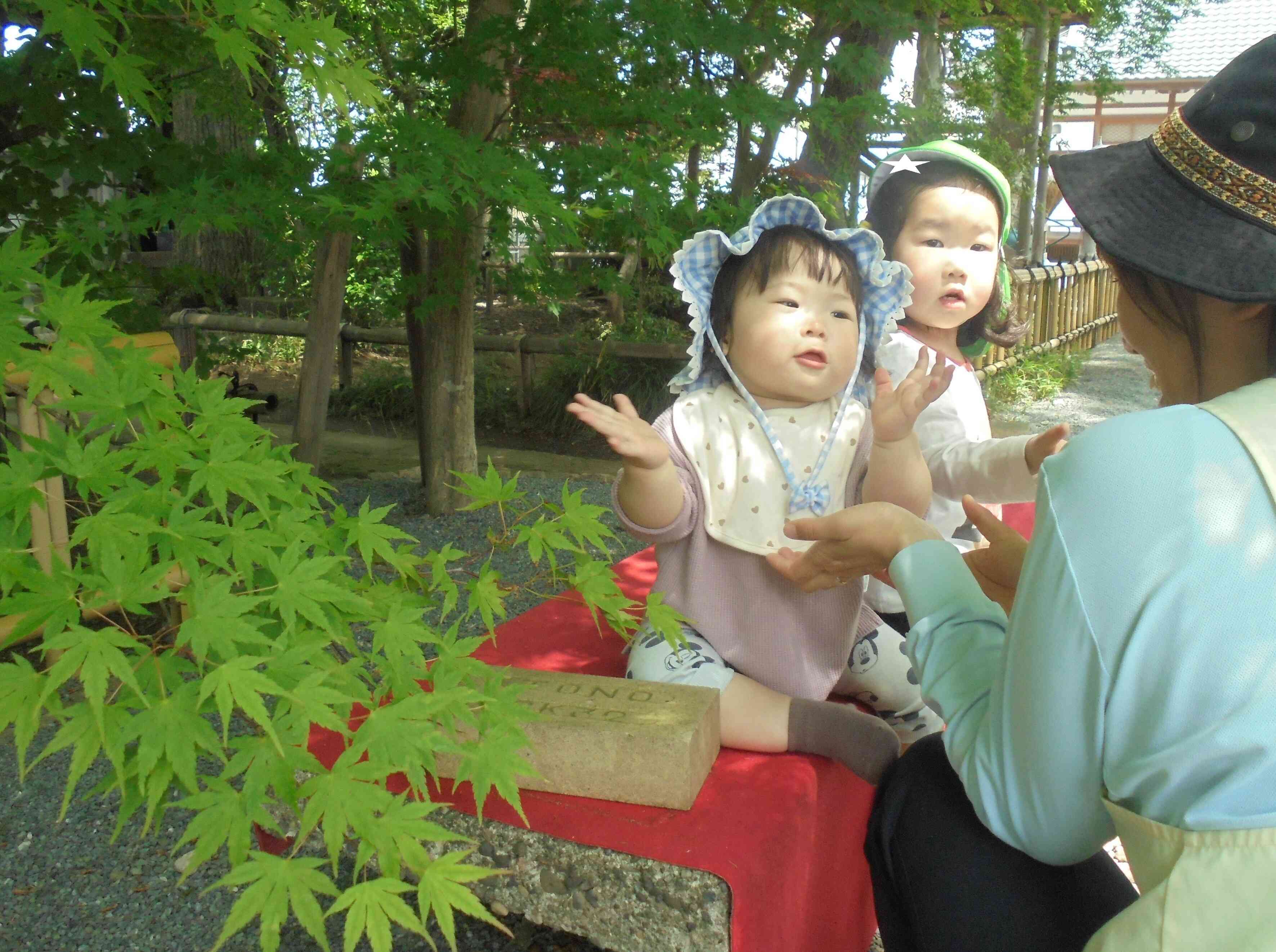 いないいないばあっ!