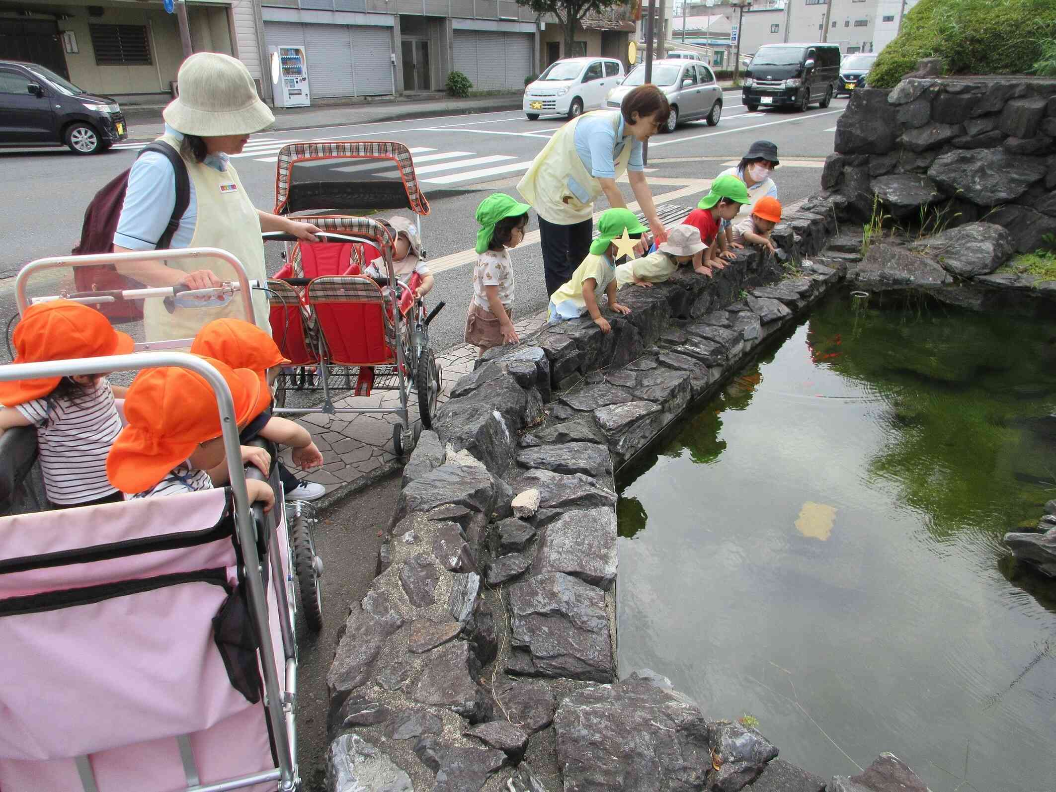 元気に泳いでるね～！