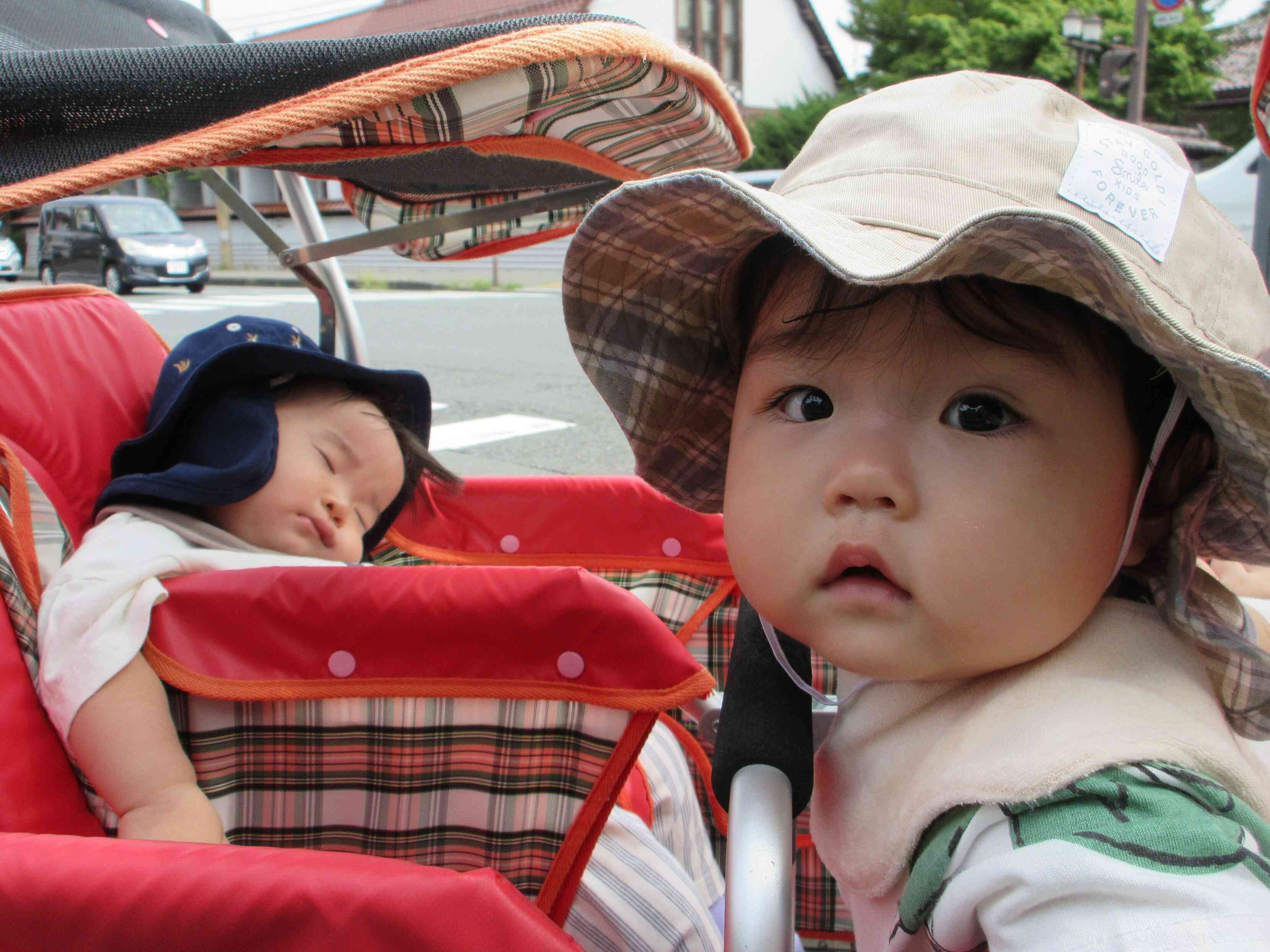 散歩車の中から、きんぎょさん見たよ！
