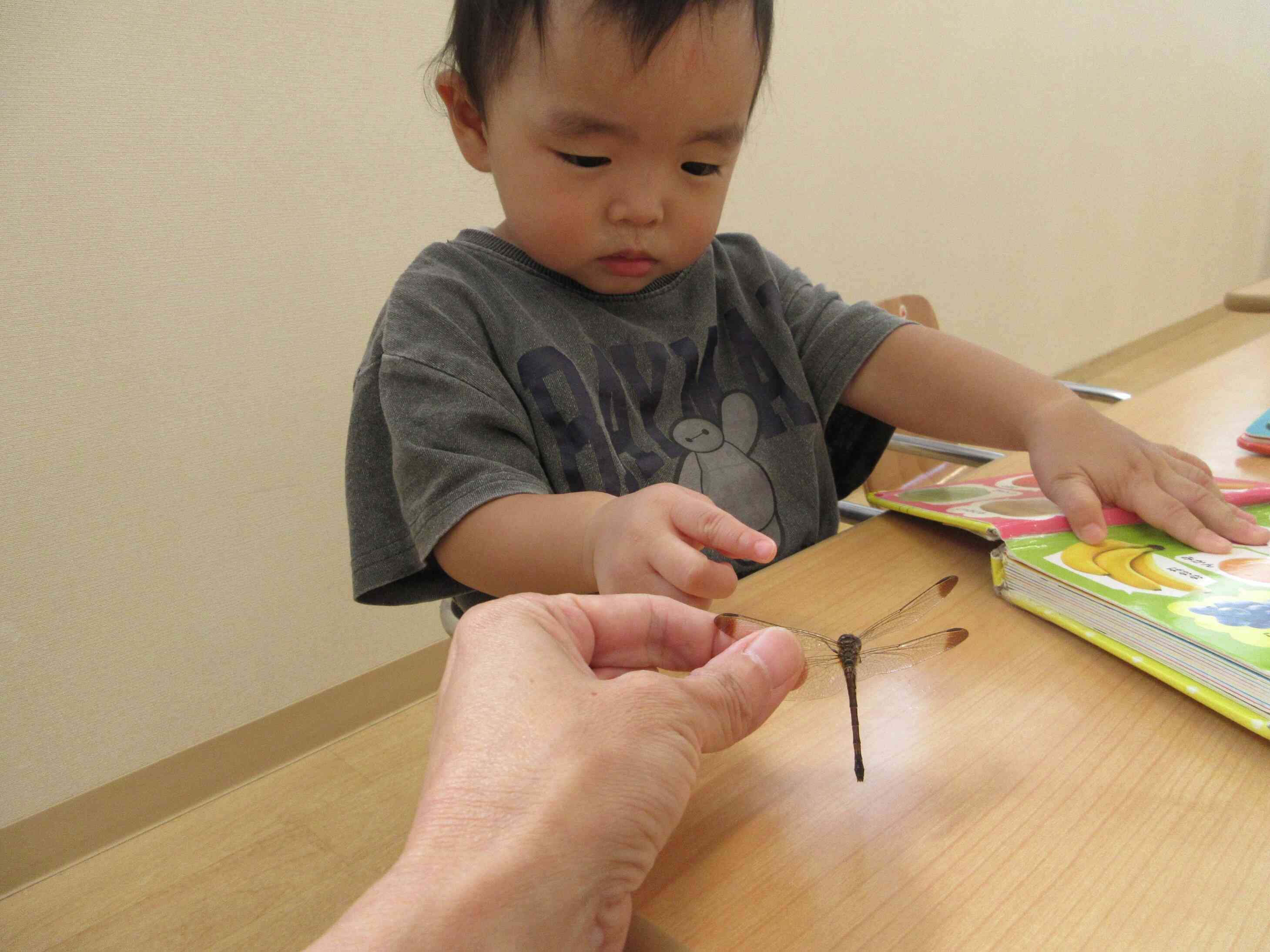 触ってみようかなぁ～