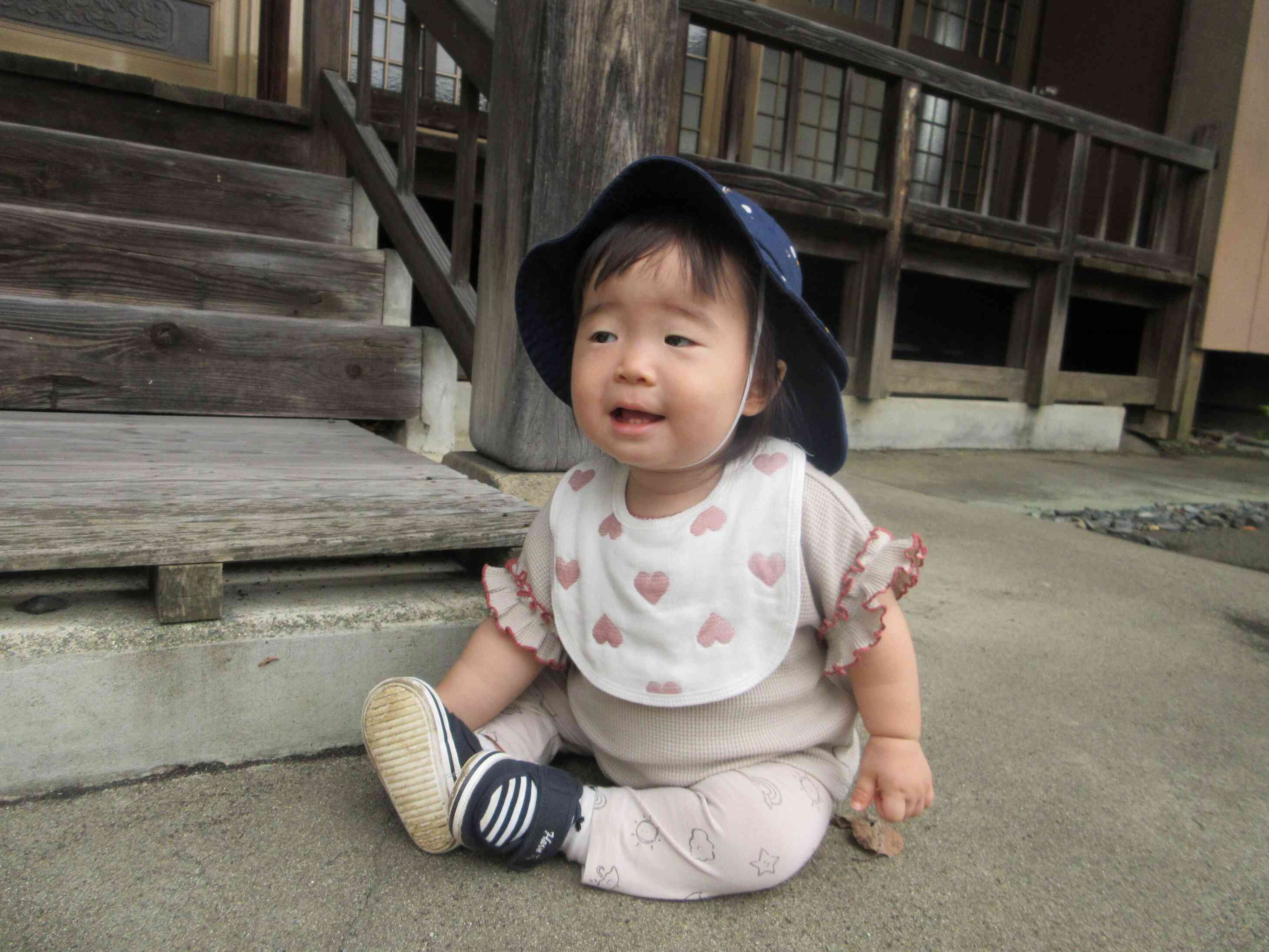 お座りをして休憩中！