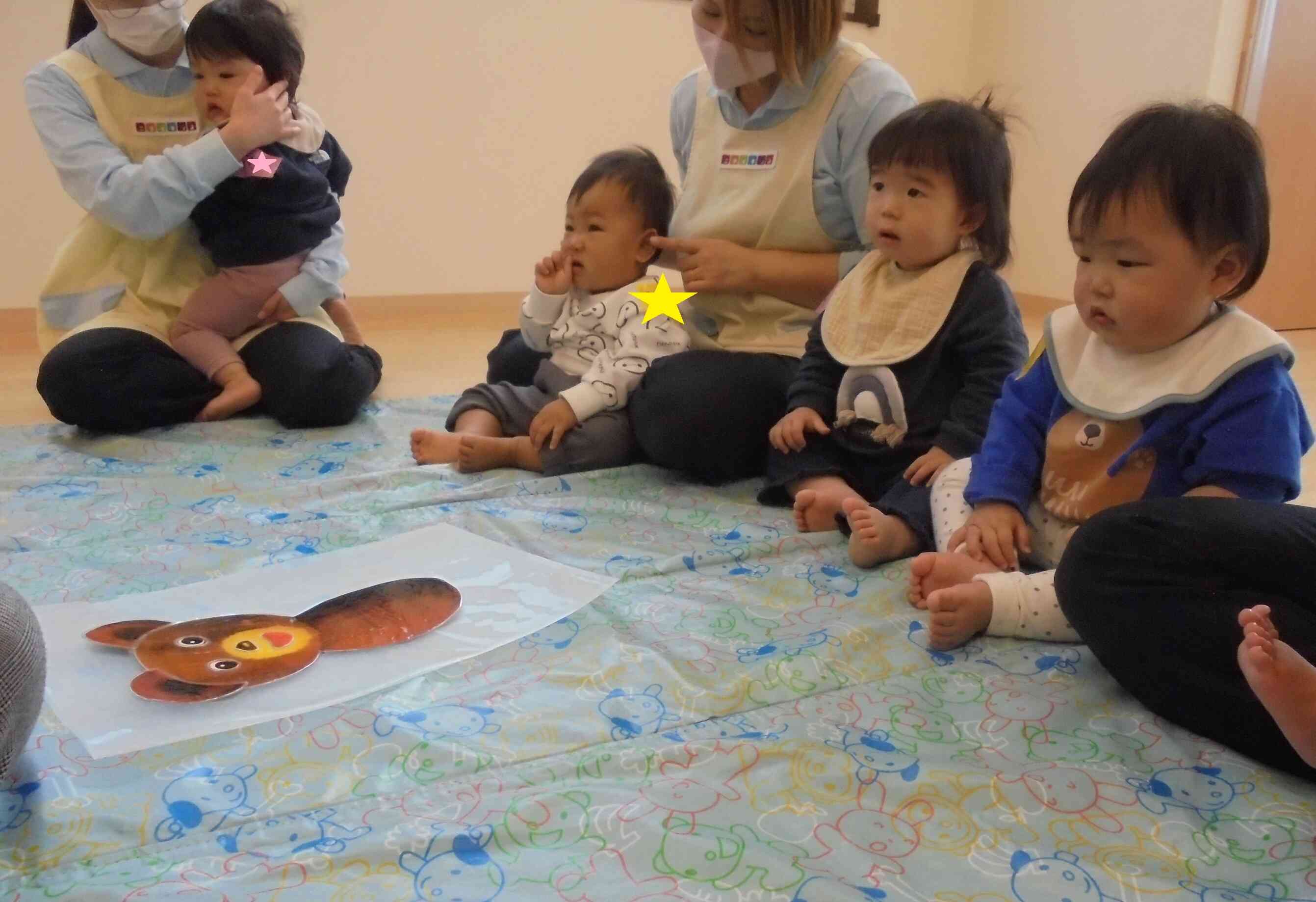 くまちゃんが登場したよ!