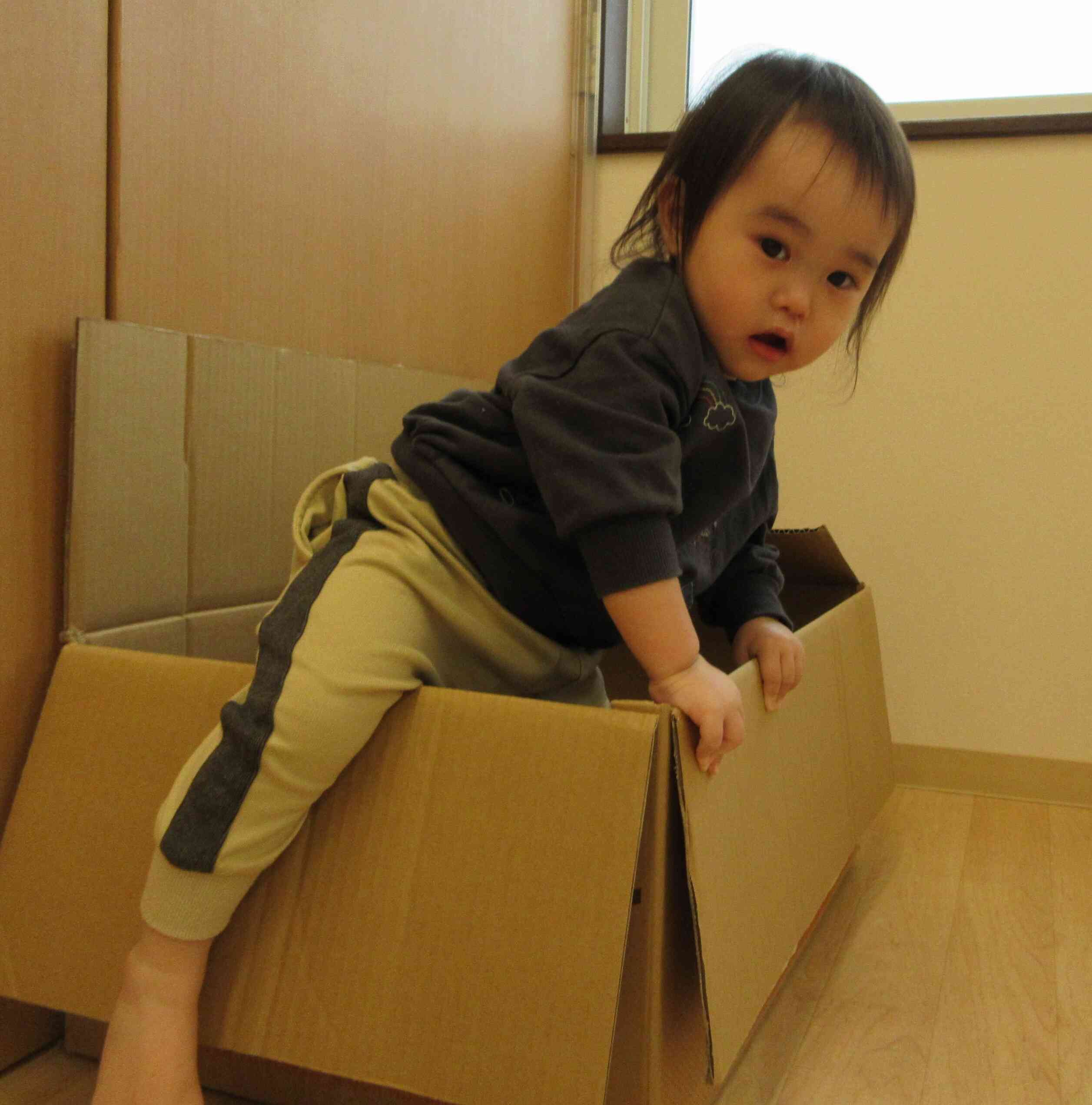 出たり入ったり、楽しいなぁ～