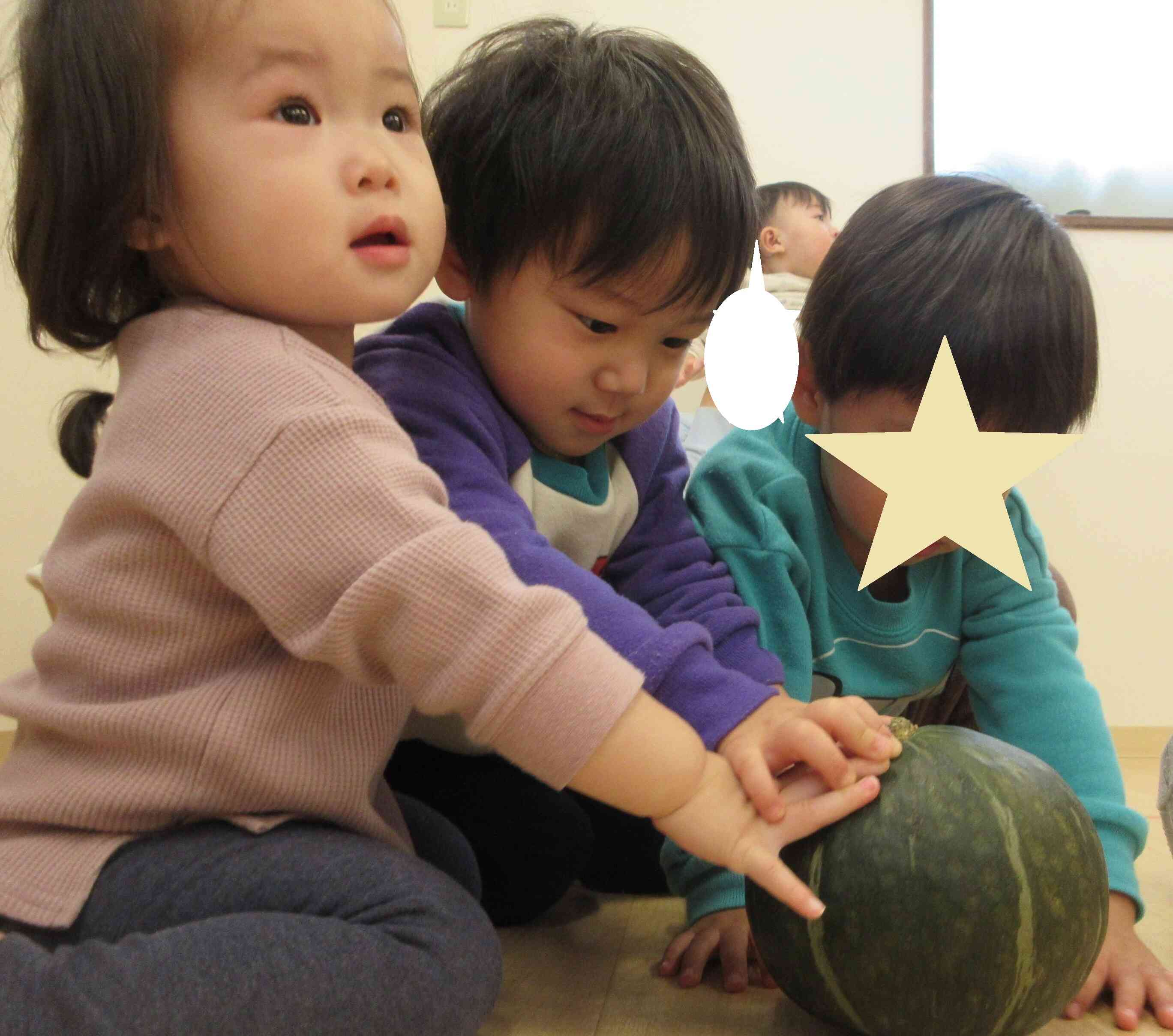 ボールみたいなかぼちゃだね！