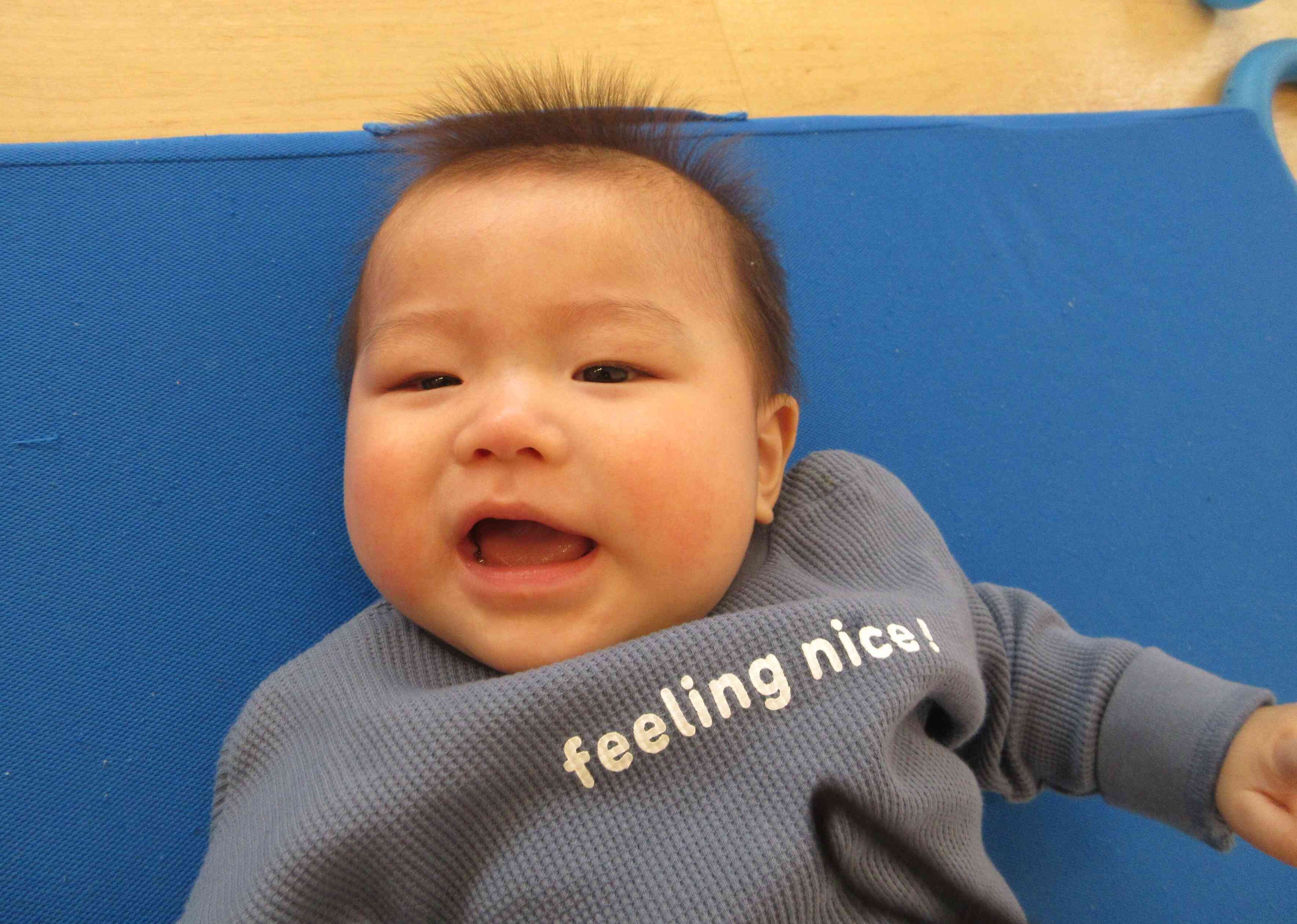 新しいお友だちです！