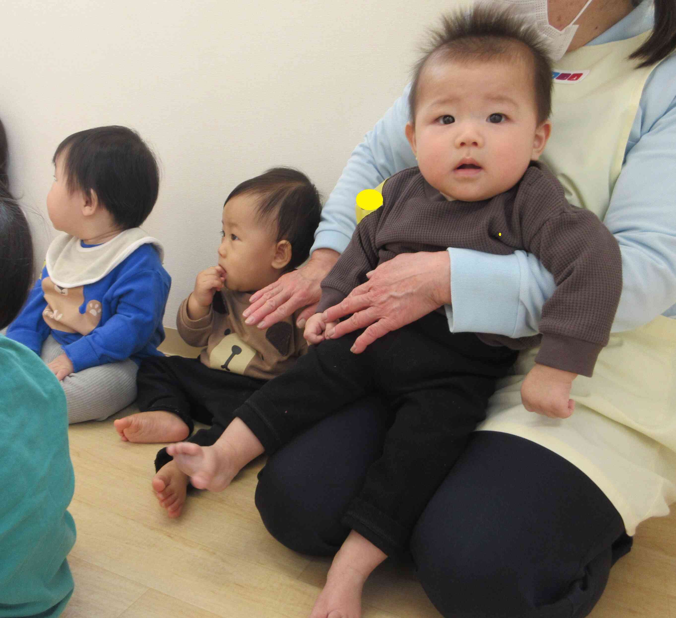 ぼくは、ぞうさんが好き！