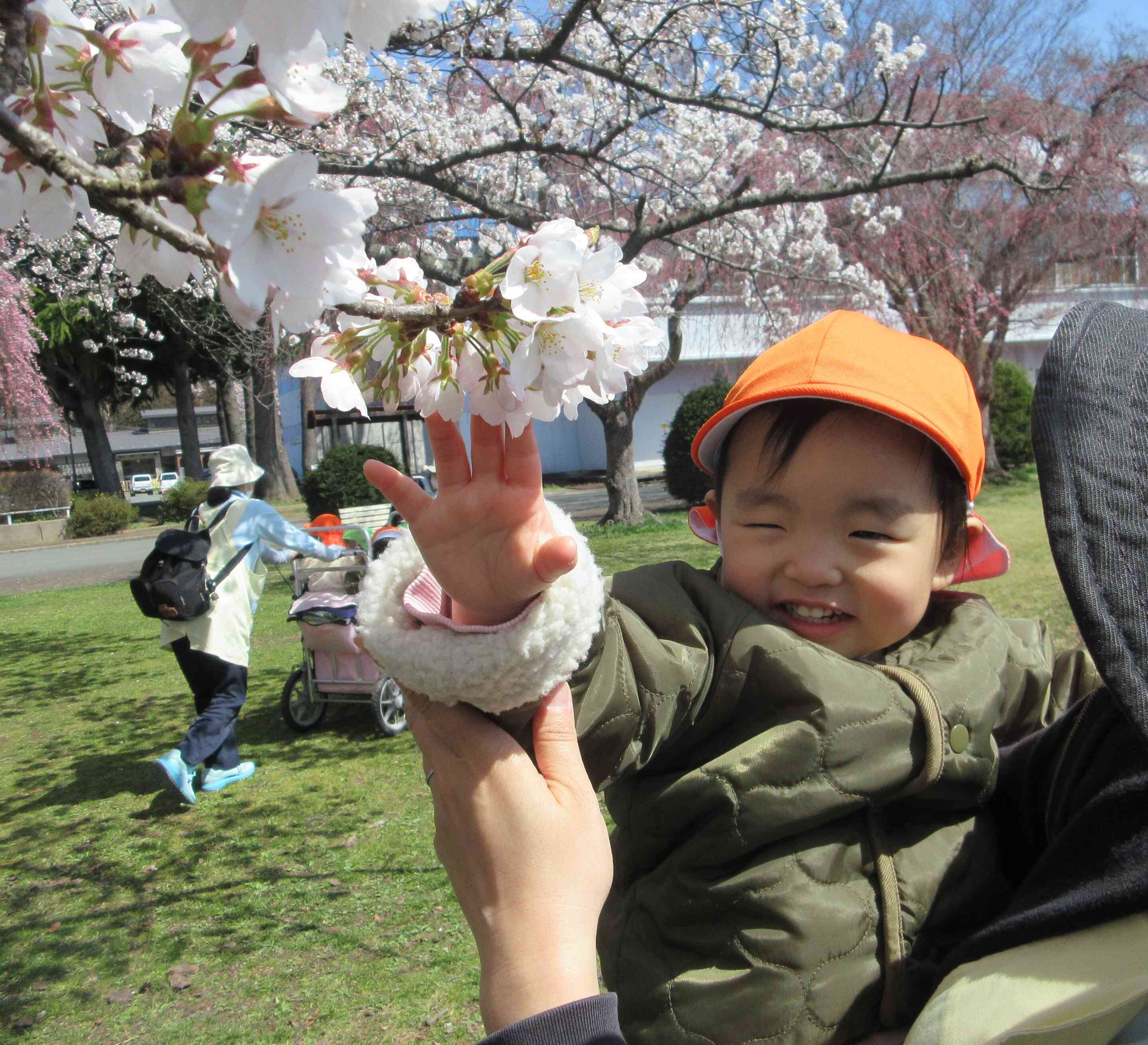 桜きれいだね～