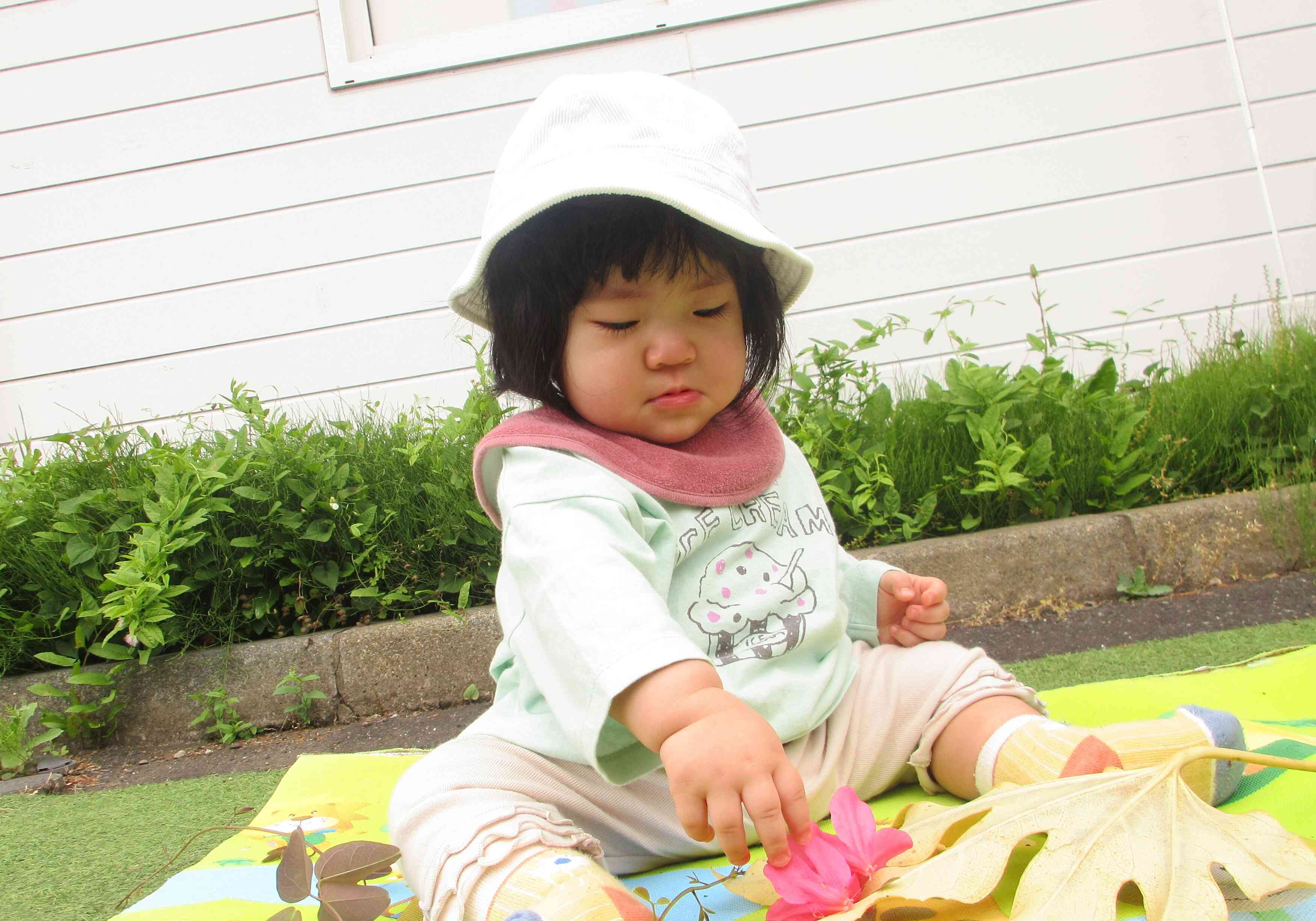 お花に触れてみたよ！