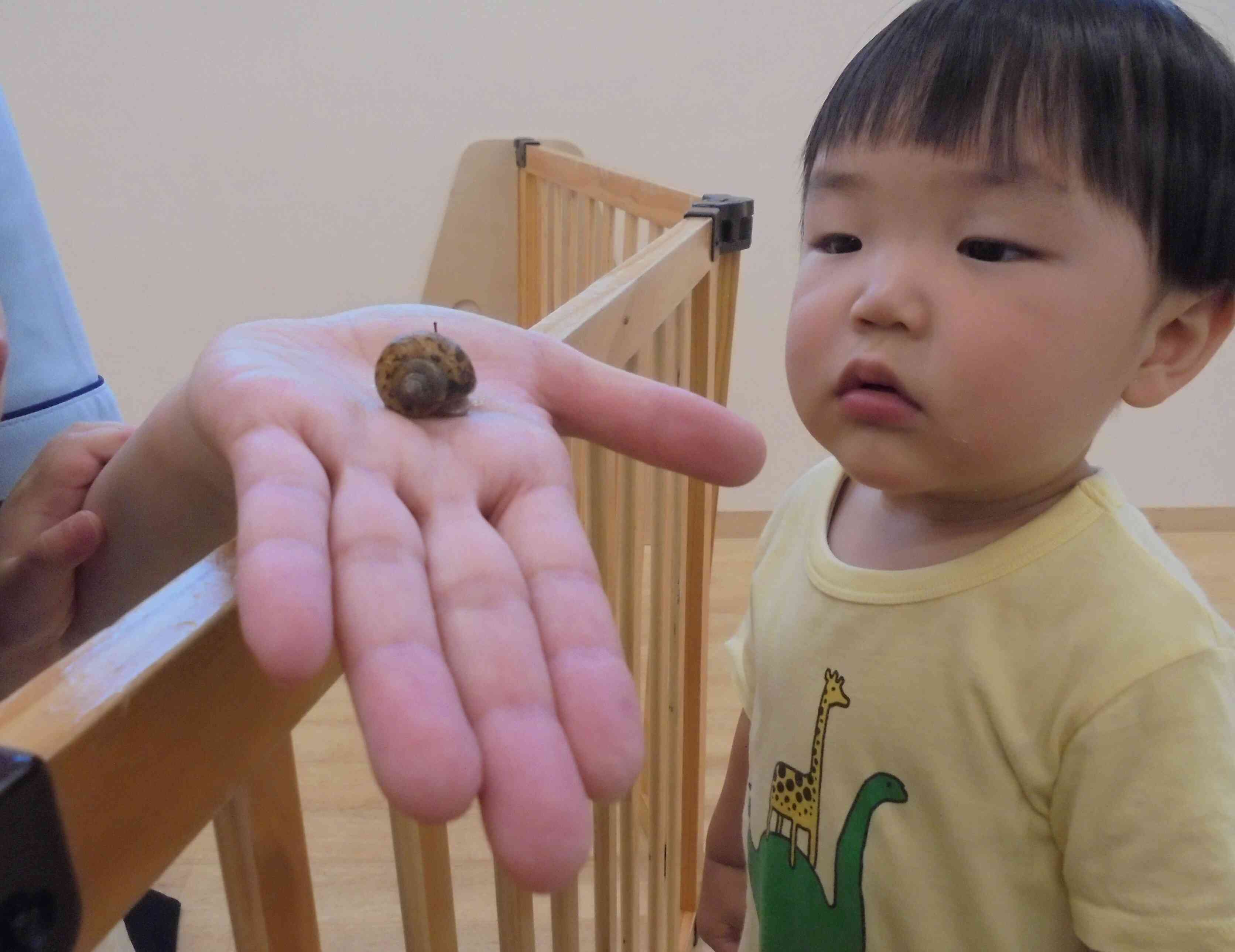 かたつむりさん こんにちは！