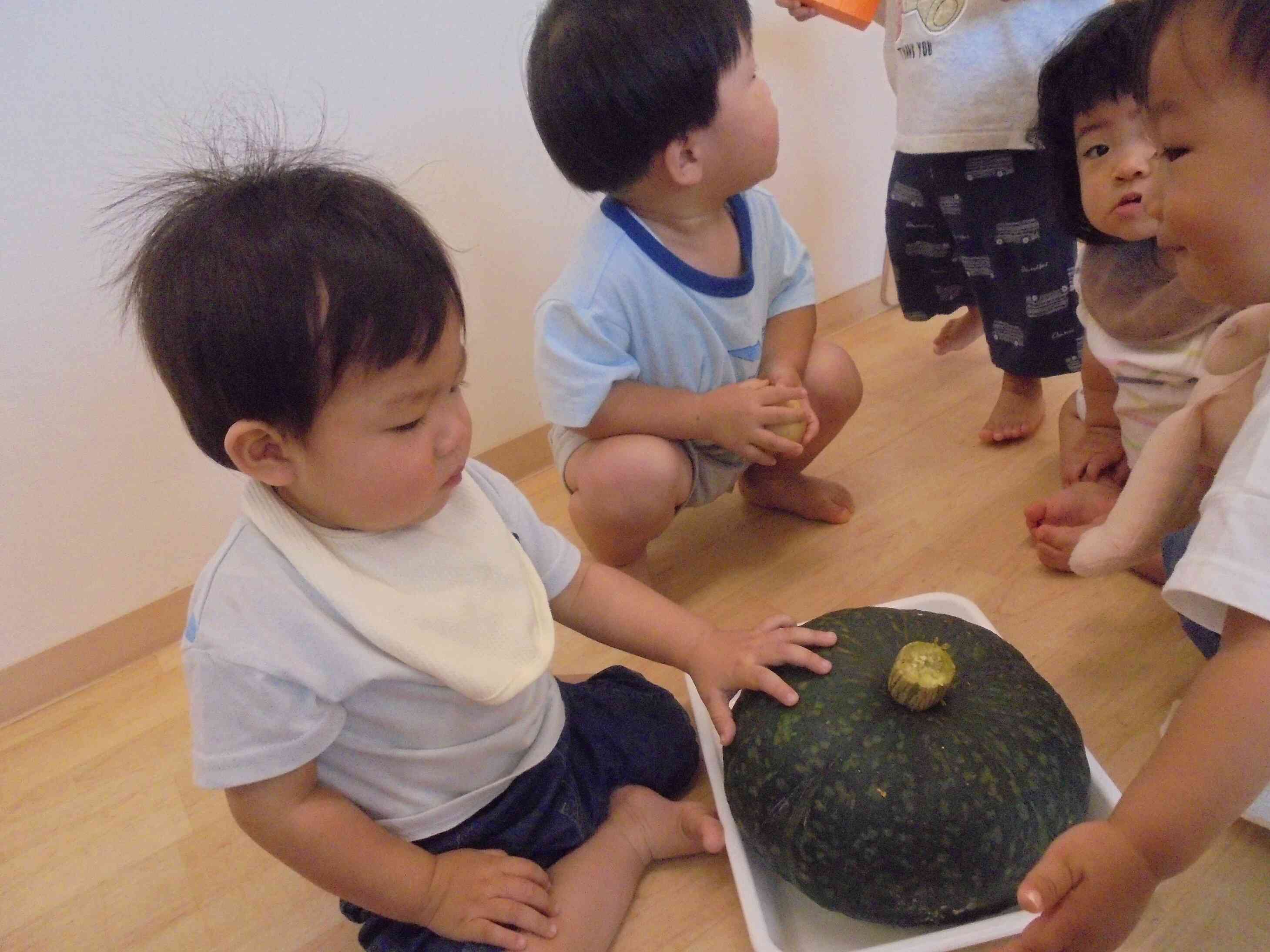 かぼちゃにタッチ！