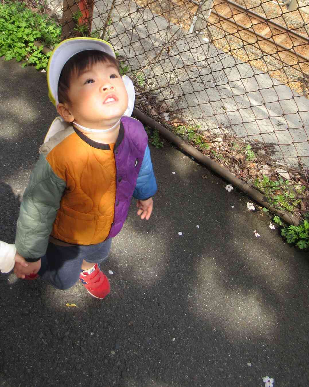 桜見ーつけた！眩しいね☀