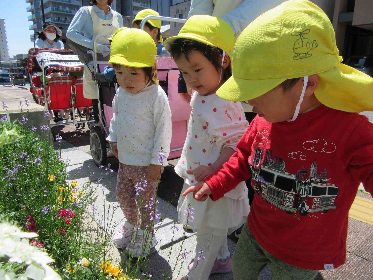お散歩だいすき☀