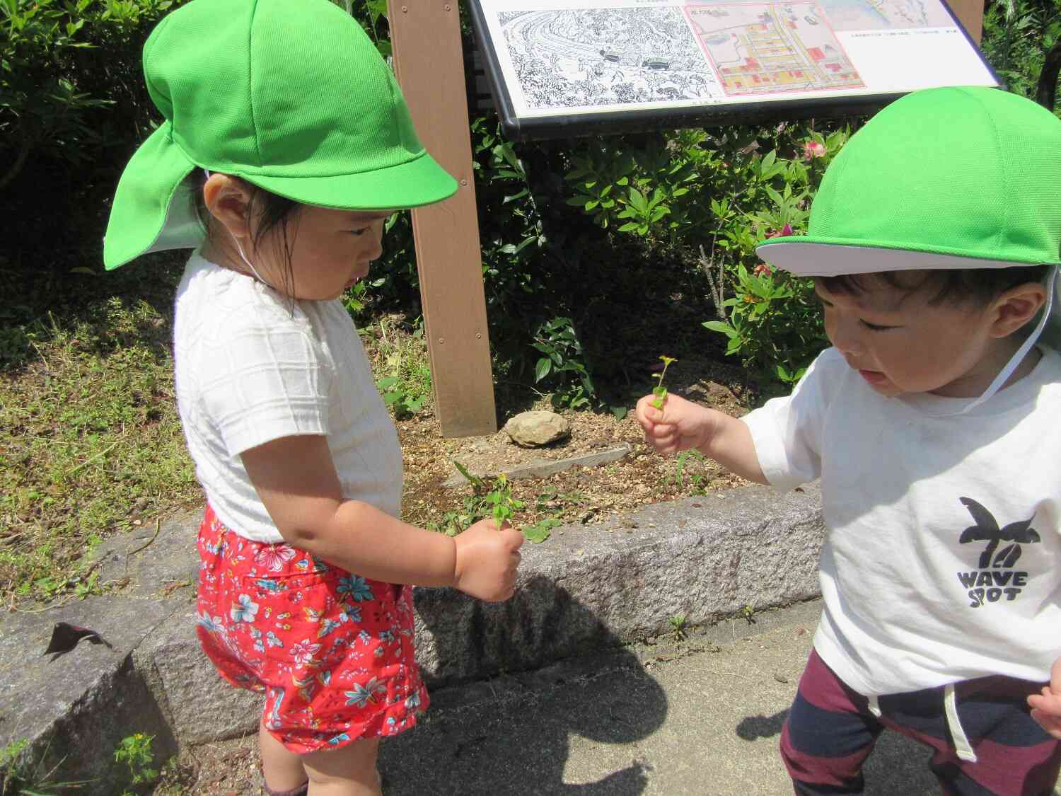お散歩にも行ったよ☀