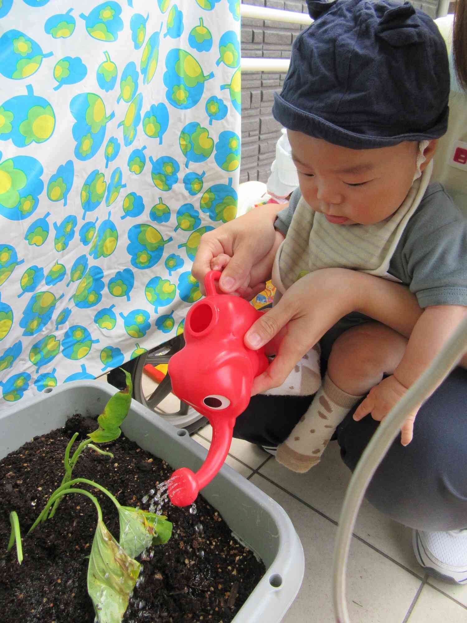 ひよこぐみさんも先生と一緒に！