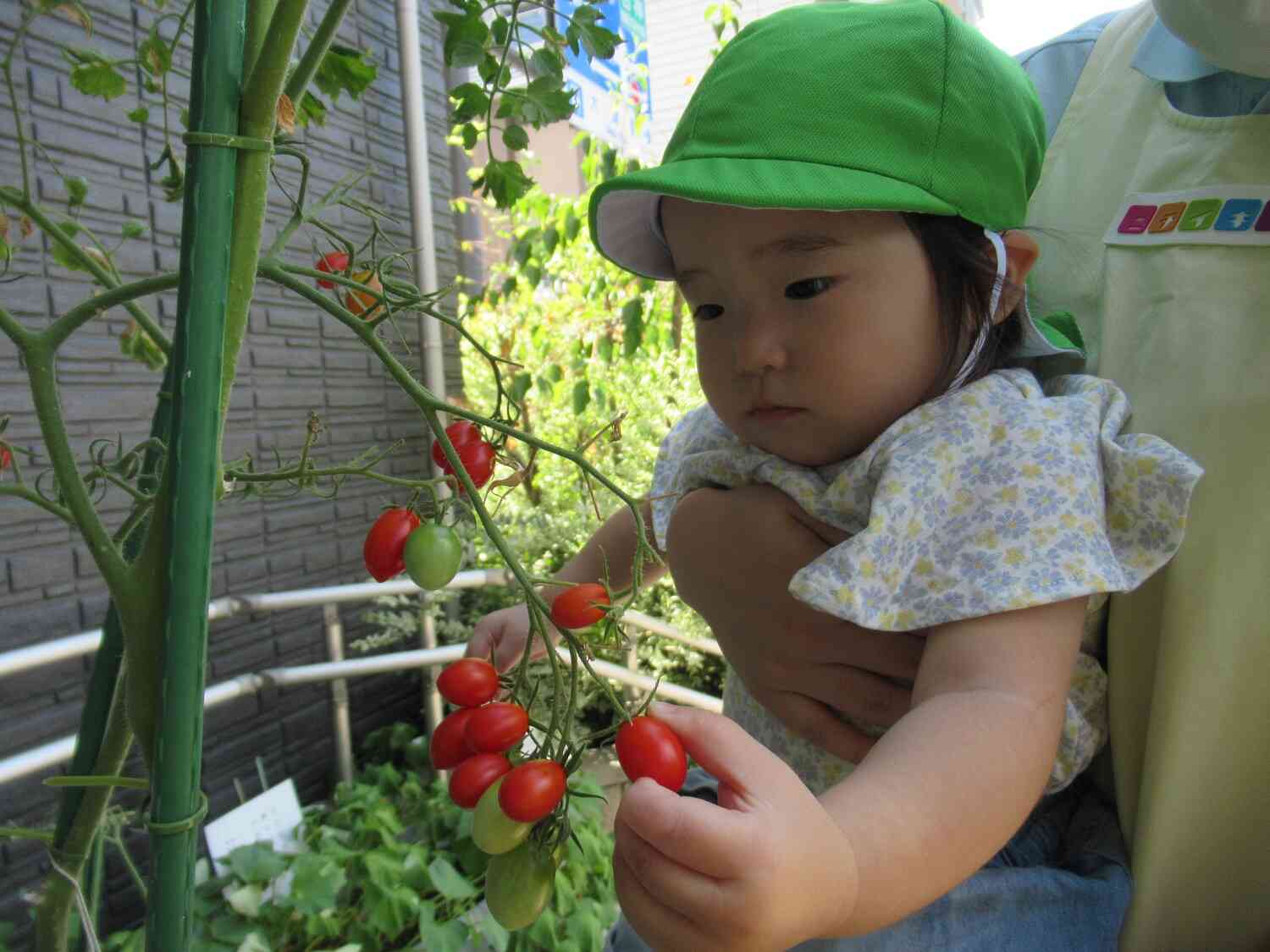 あひるぐみさんは・・・？