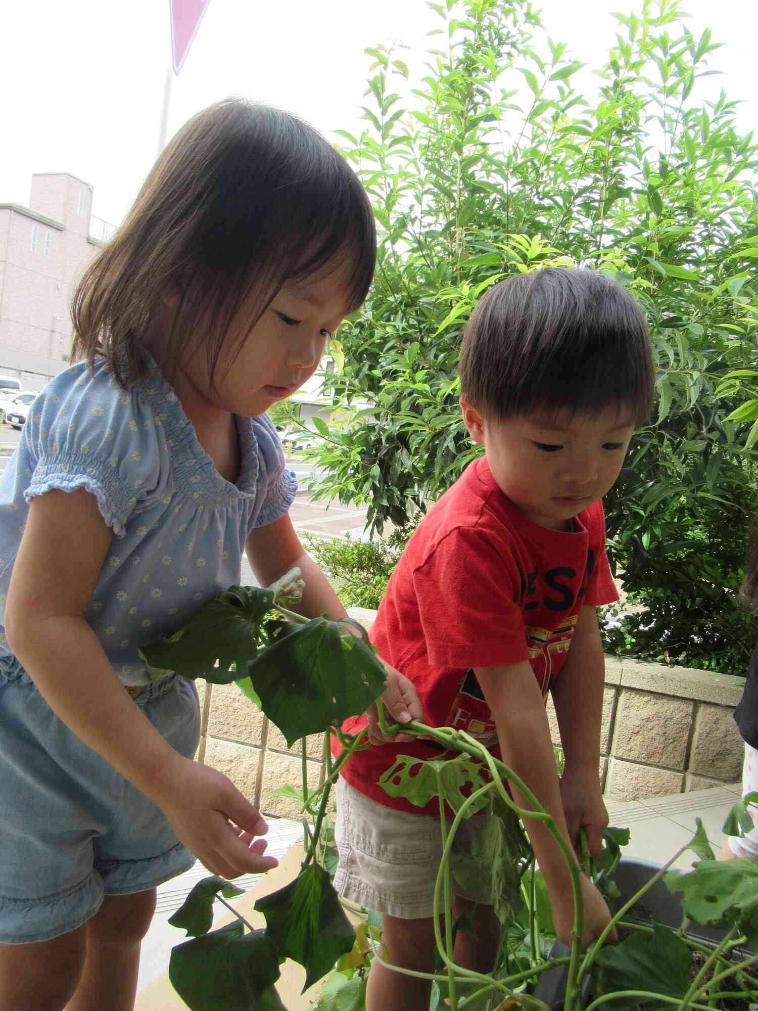 うんとこしょ！