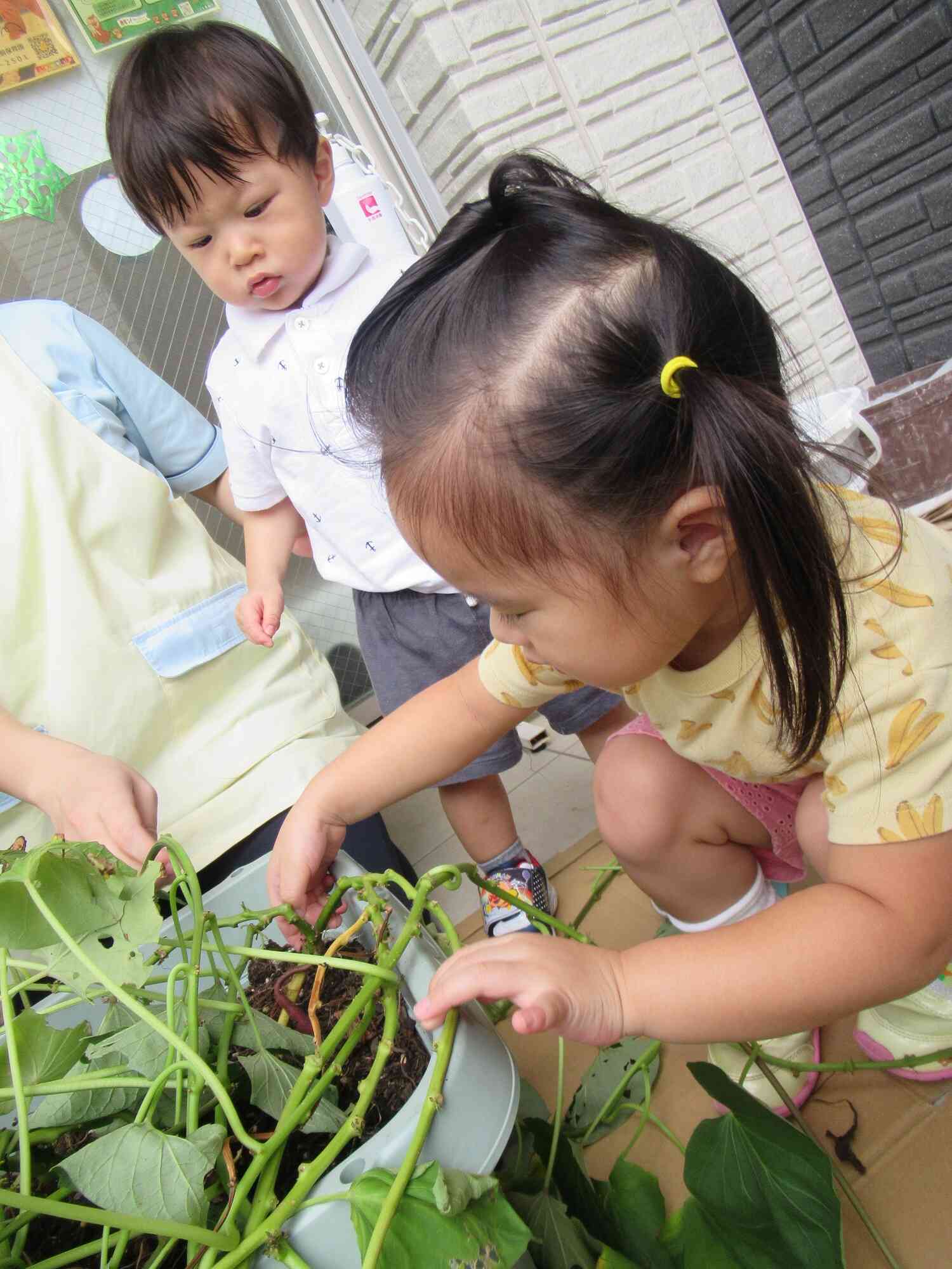 うまく抜けるかな？