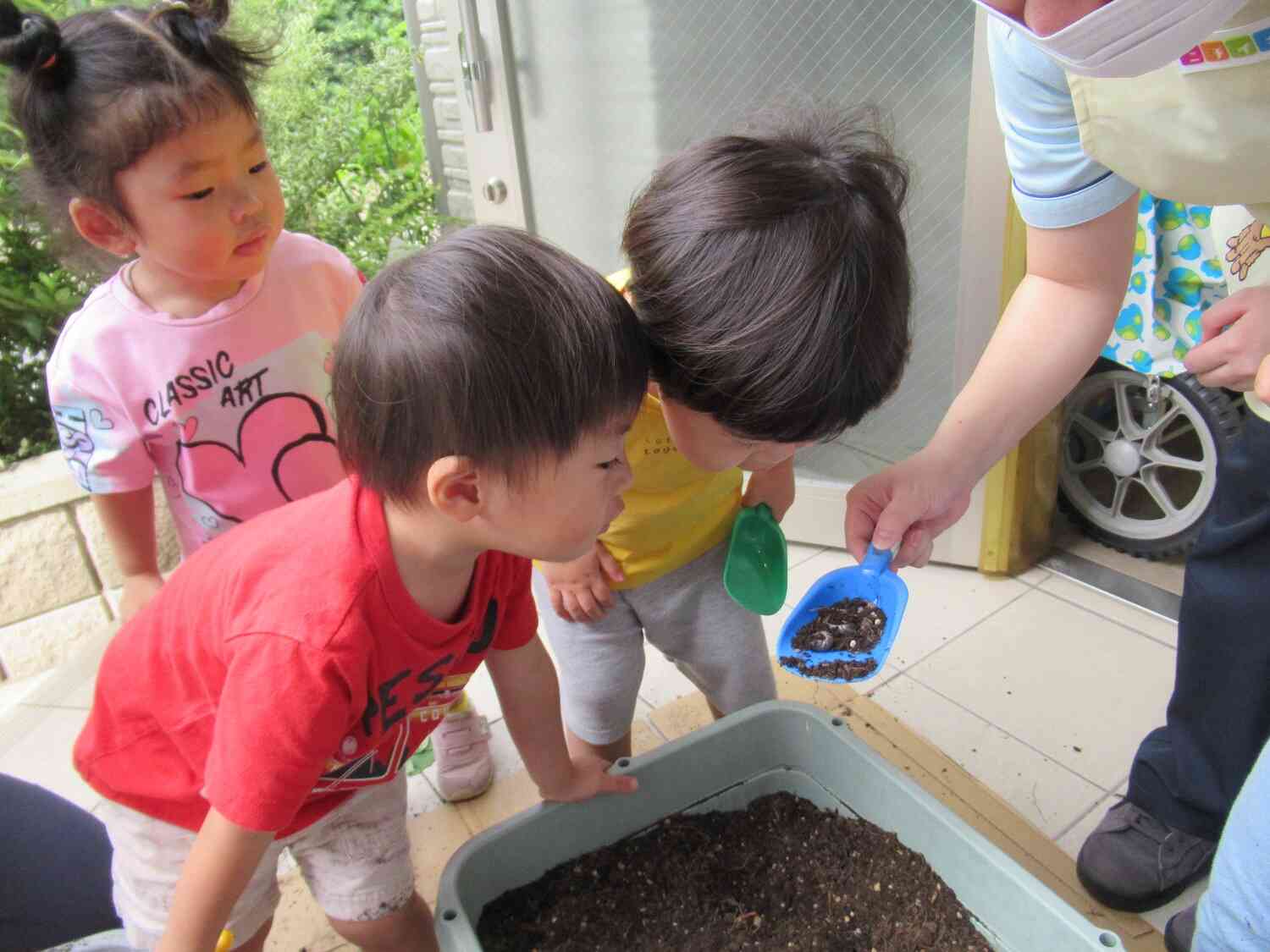 虫さんも発見！