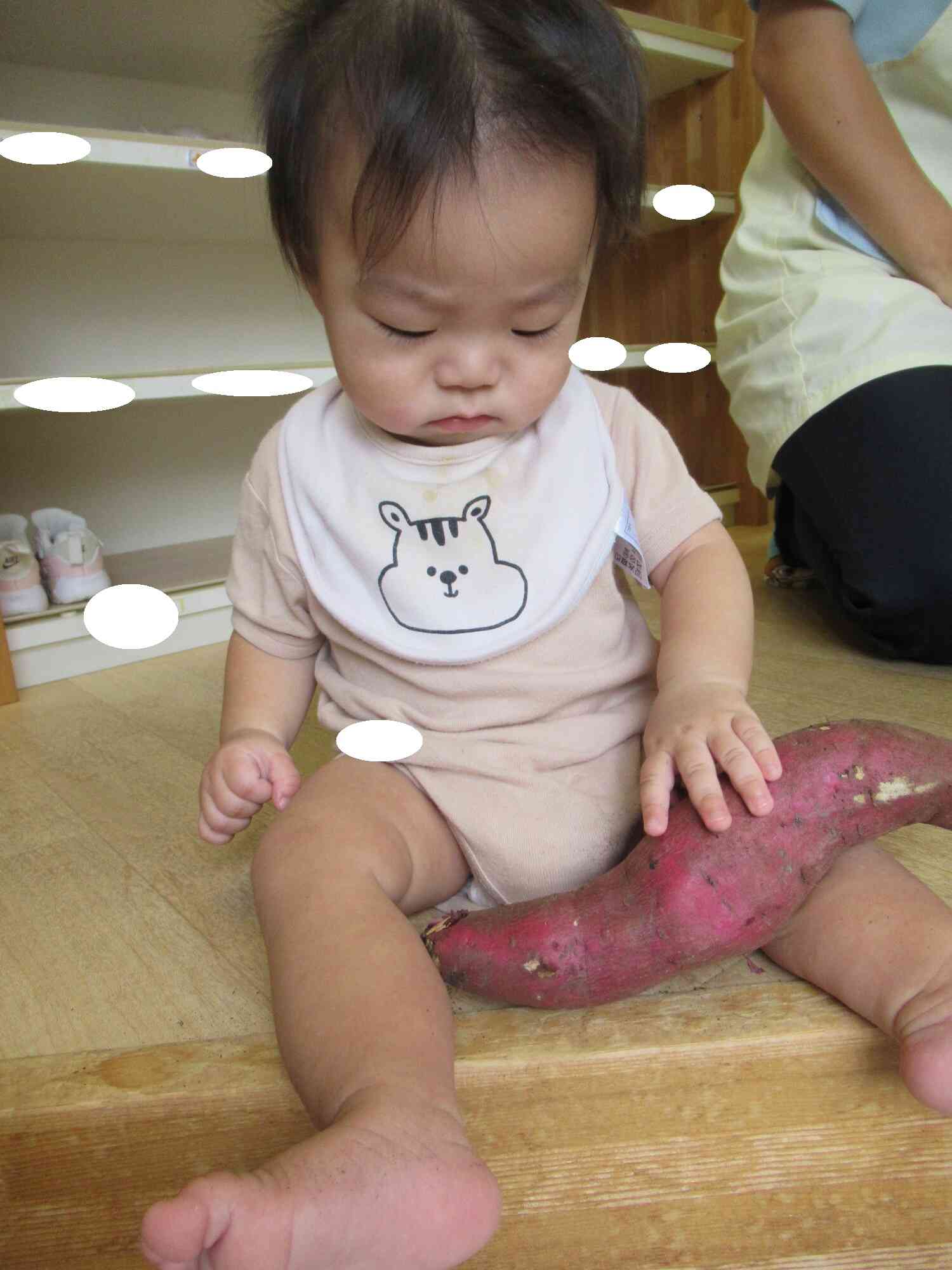 ひよこぐみさんも触ってみたよ♪