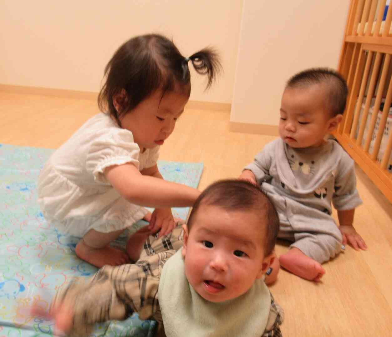 ひよこぐみほっこりTIME♬