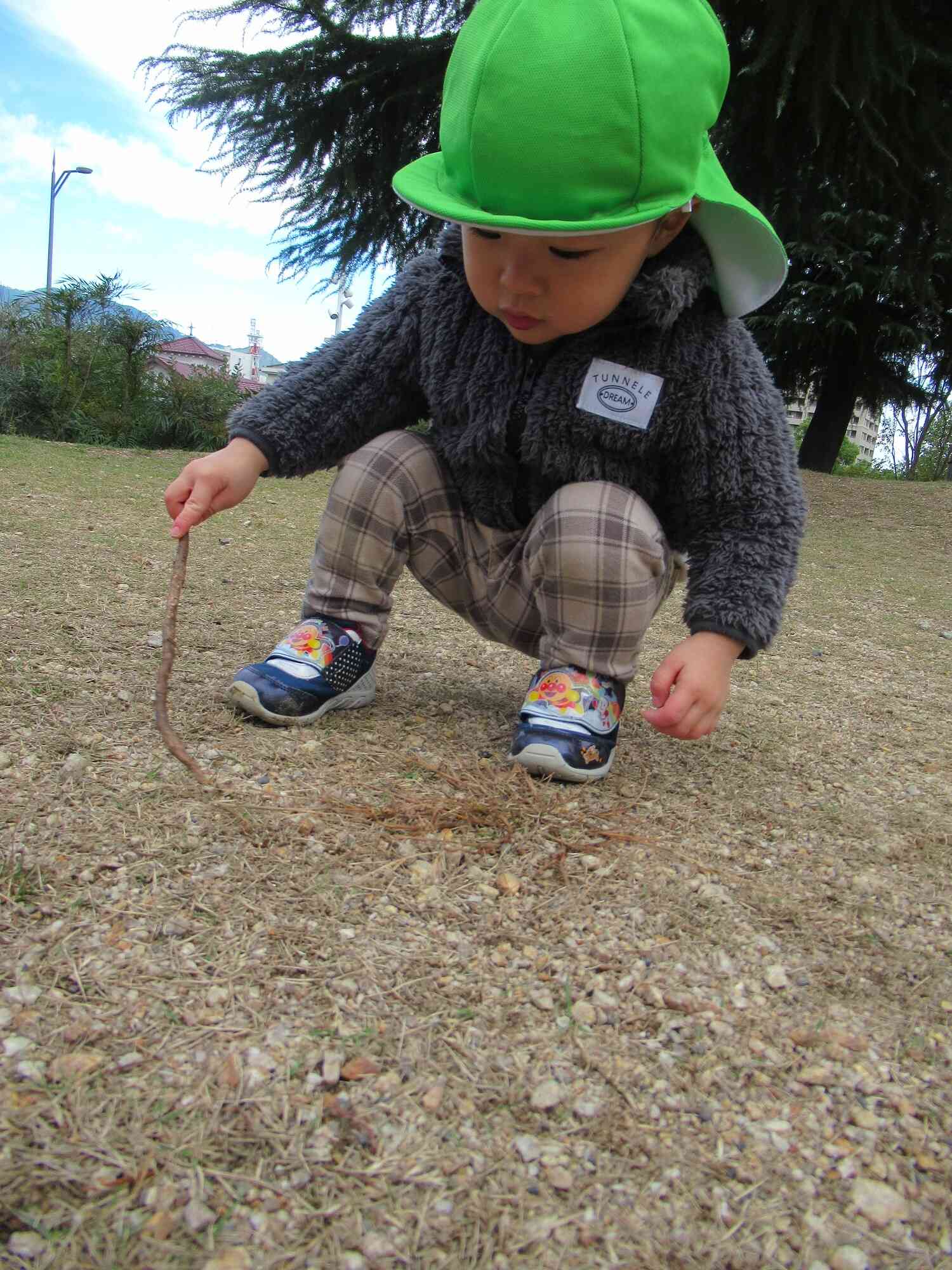 何かあるのかな？