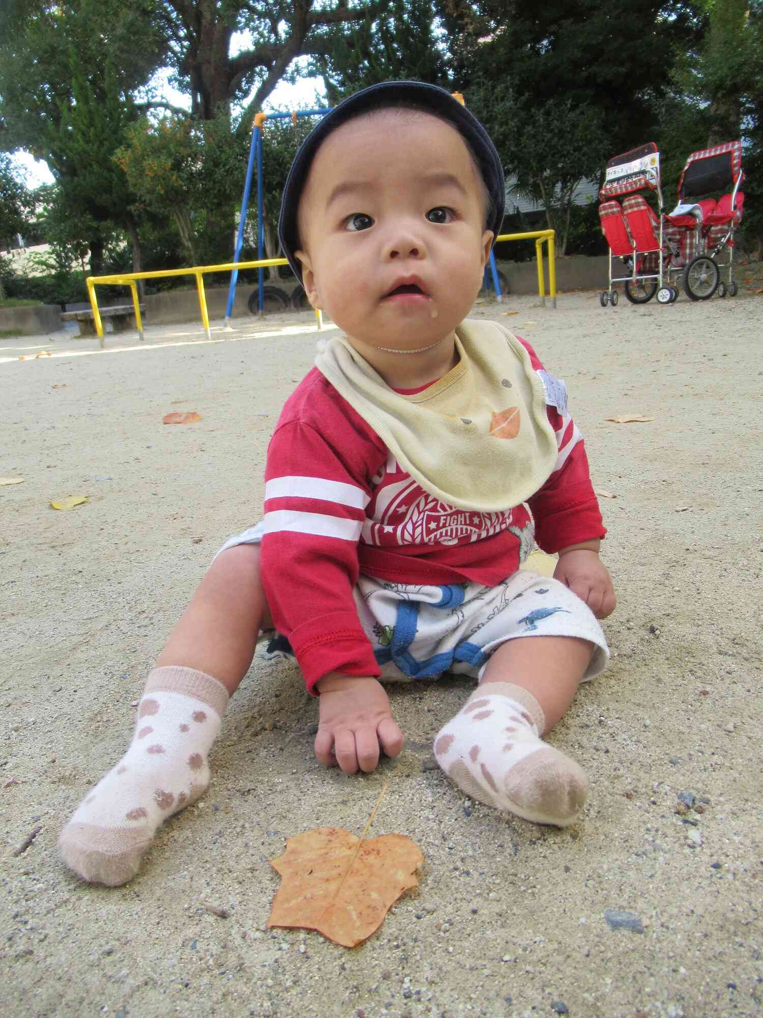 ひよこぐみのお友達も！！