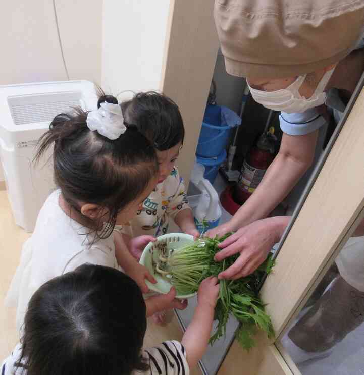 こんなにたくさん！