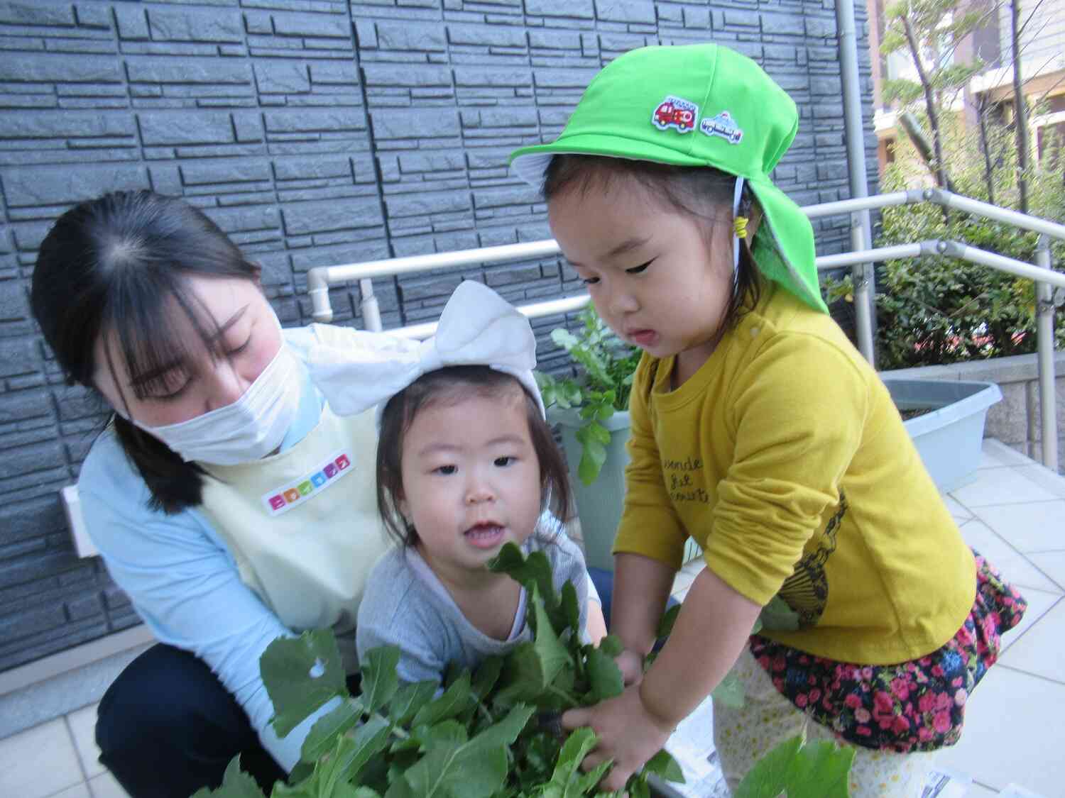 1月7日は人日の節句！