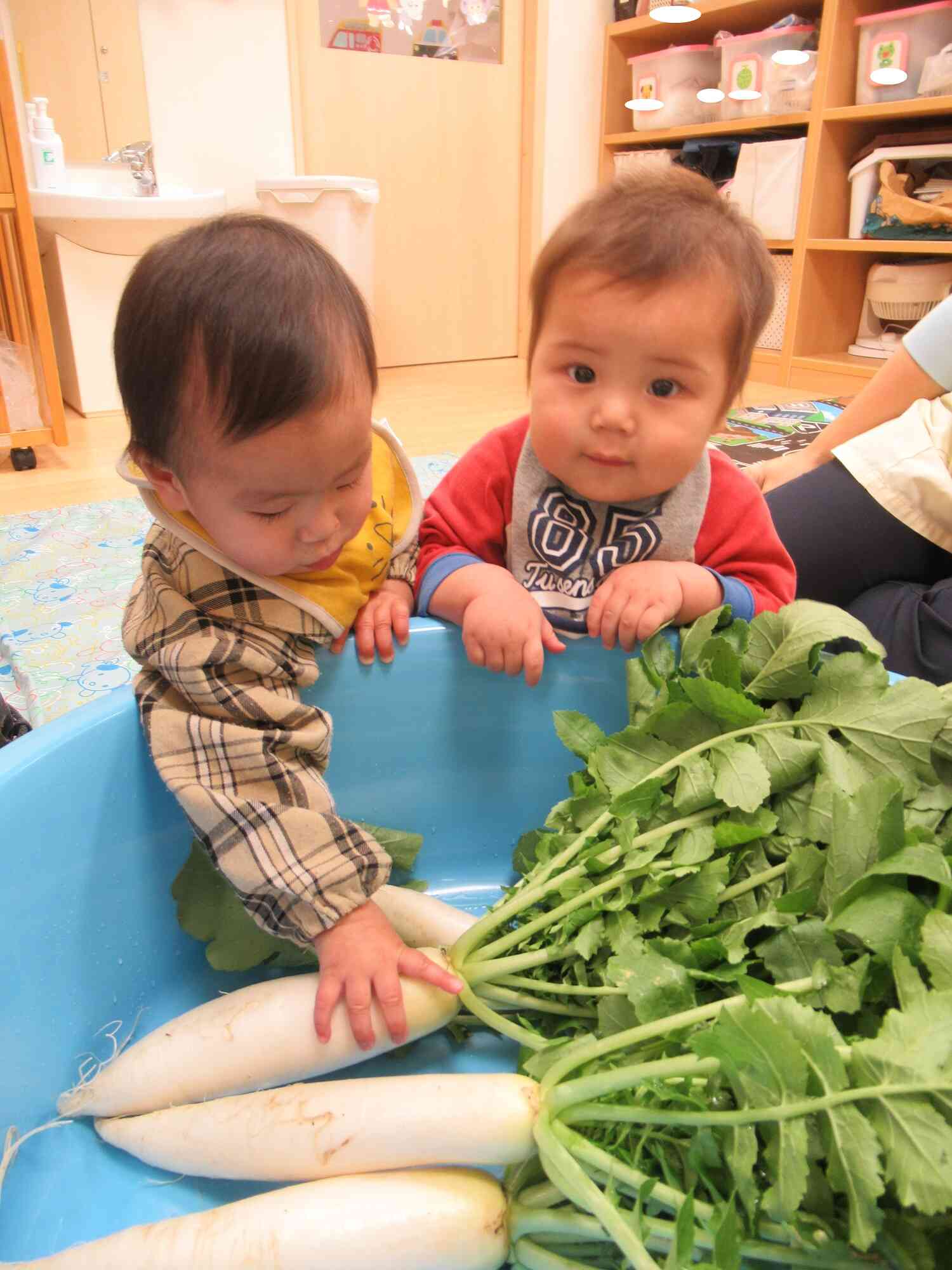 ひよこぐみさんも興味津々！